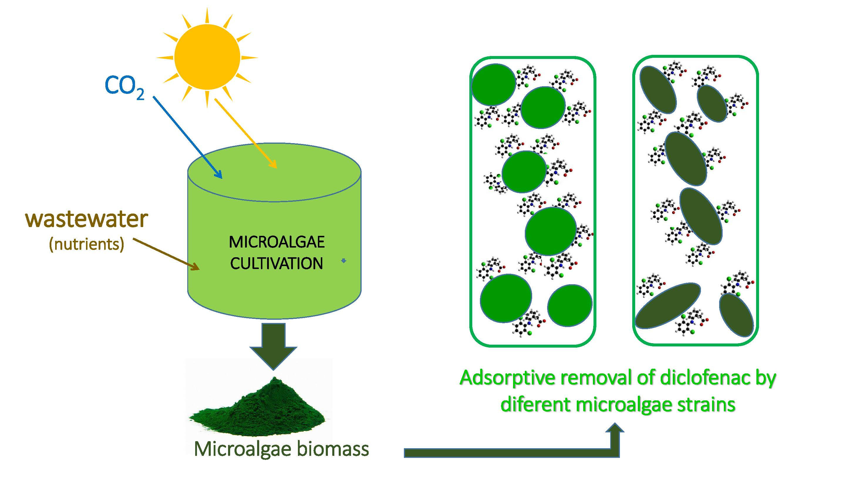 Adsorptive Water Removal From Dichloromethane And Vapor