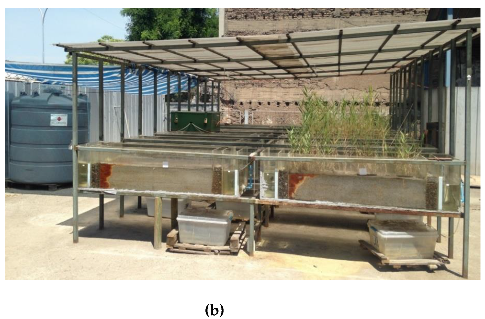 Water 10 01447 g001b