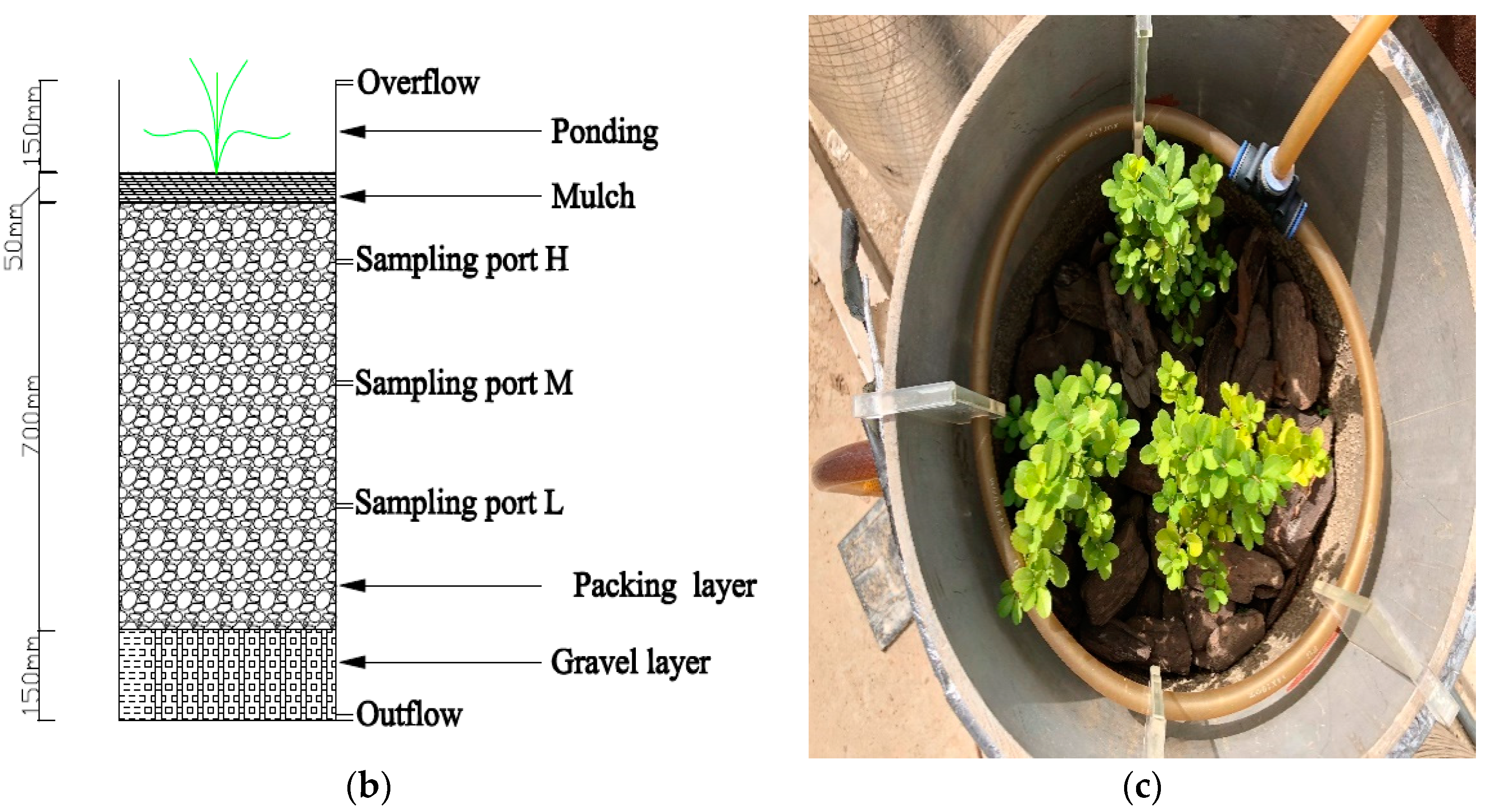 Water 10 01488 g001b 550