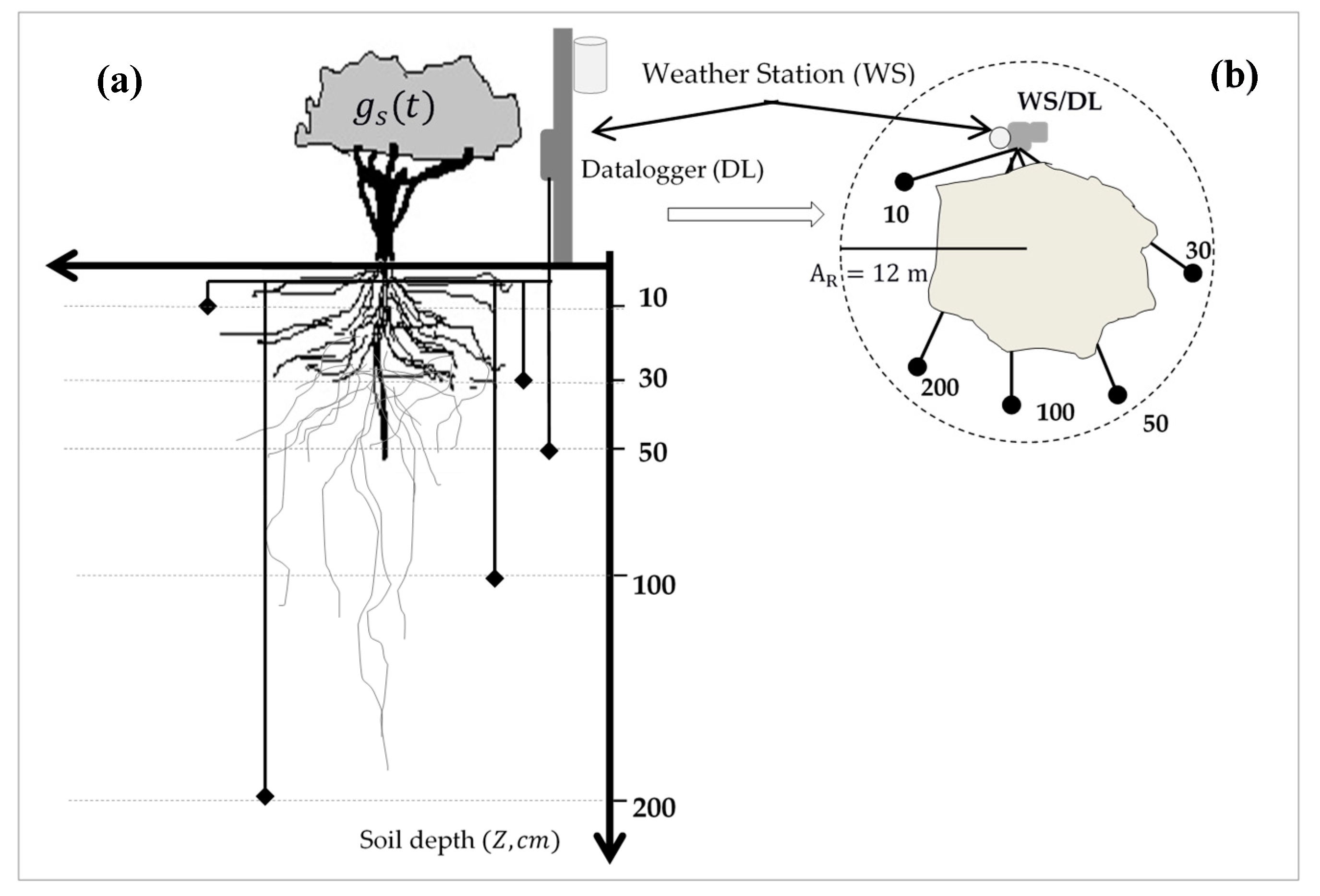 Water 10 01534 g002 Water 10 01534 g002
