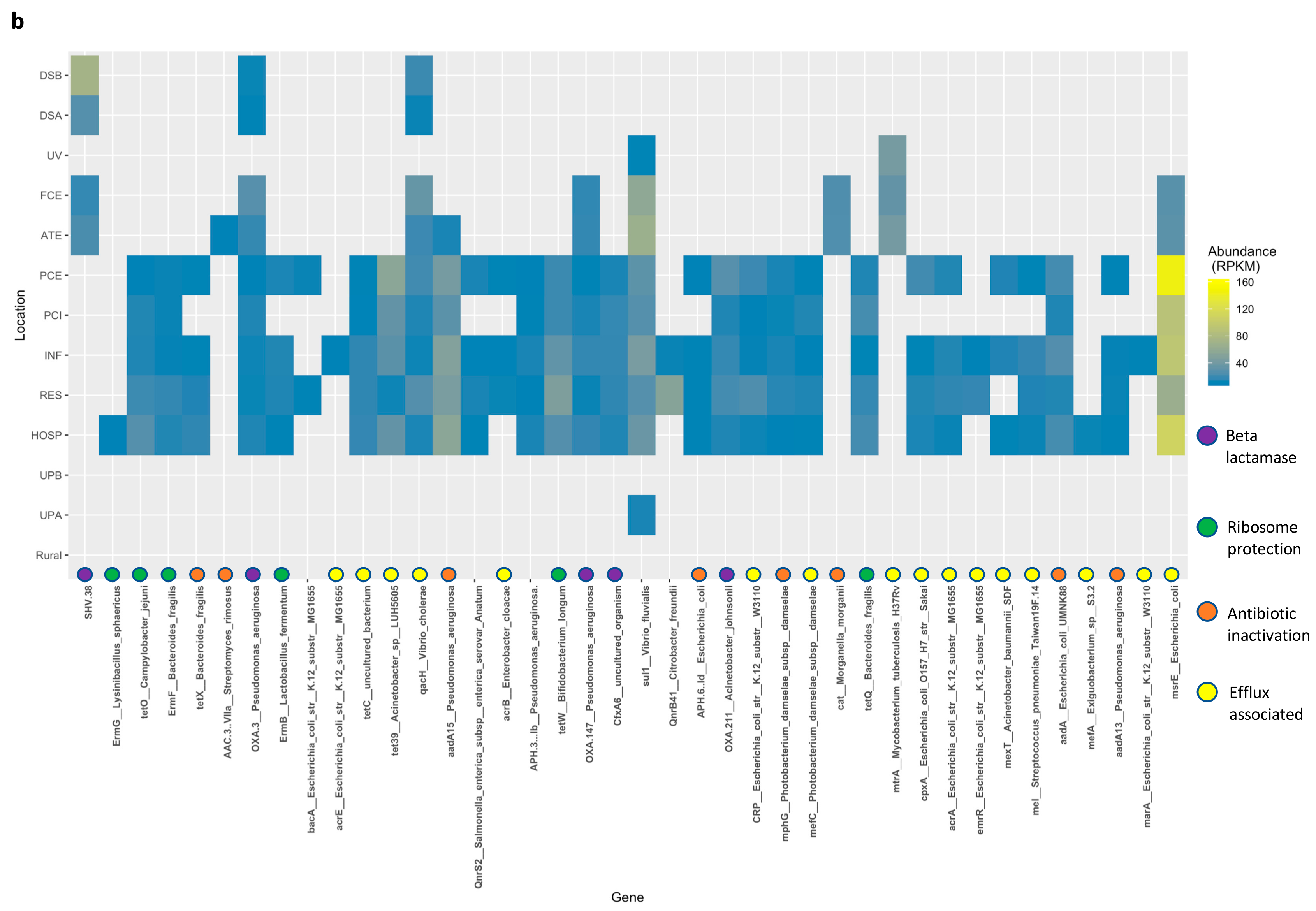 Water 10 01539 g007b