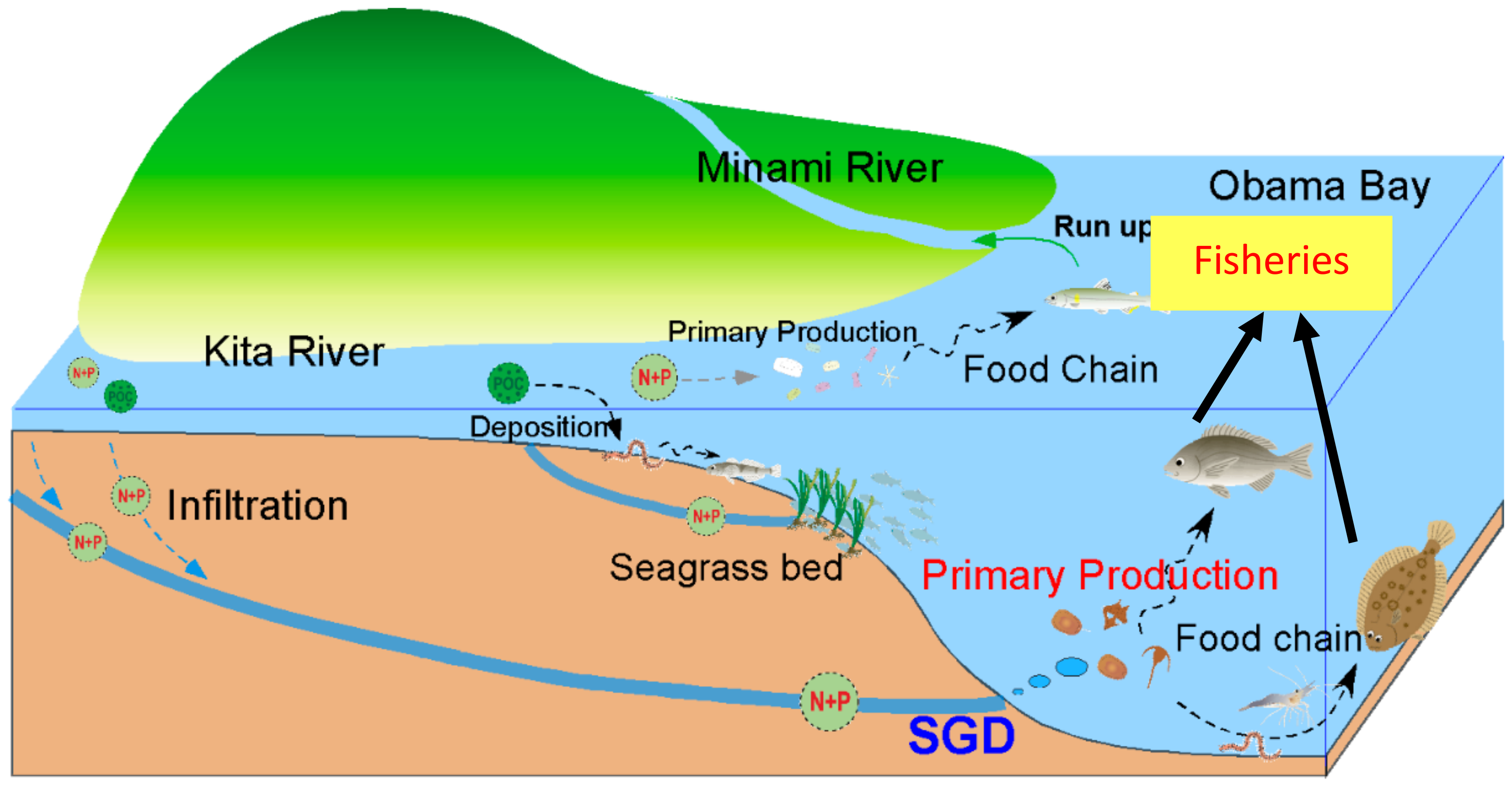 Water 10 01556 g003 550