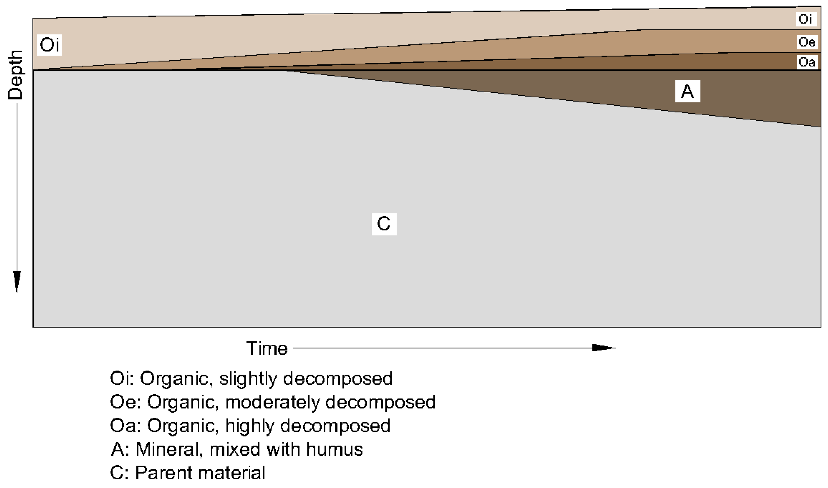 Water 10 01587 g001 550