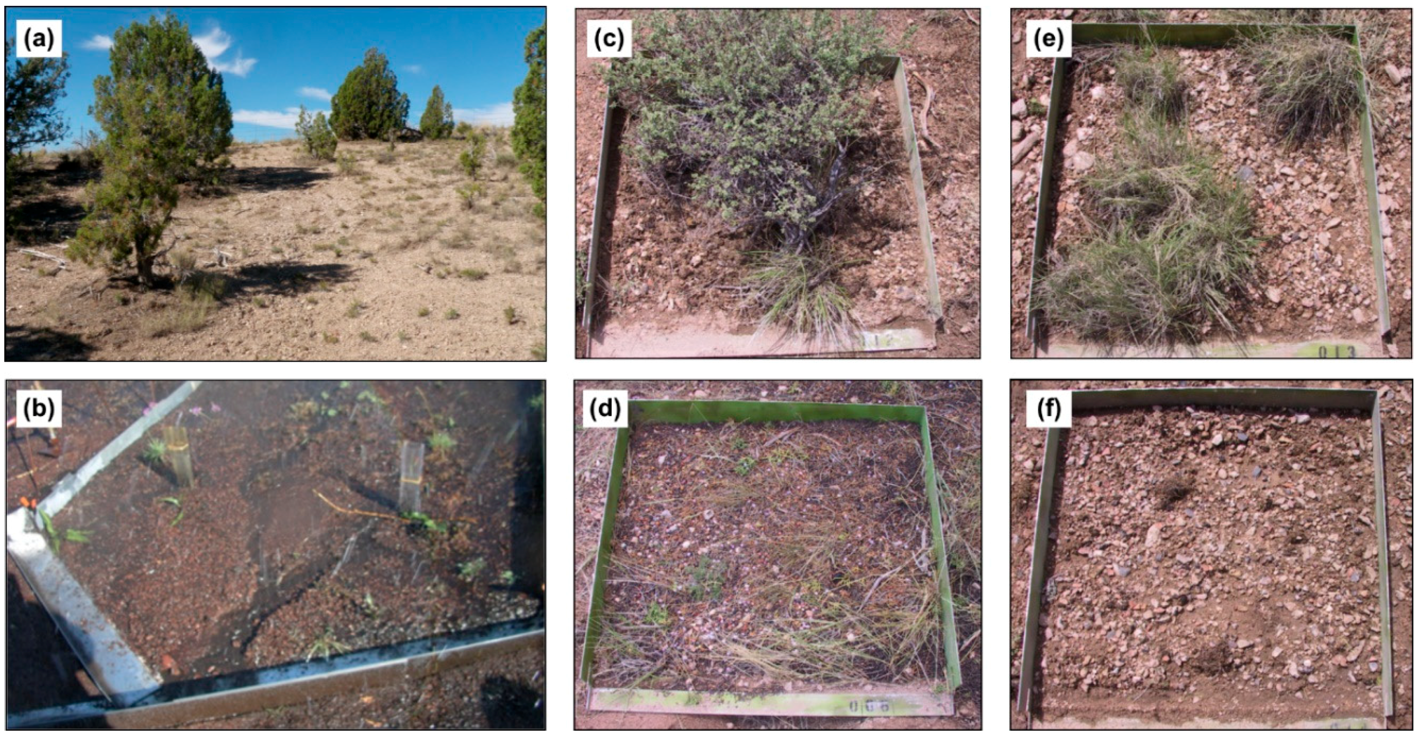 Water 10 01607 g003 Water 10 01607 g003