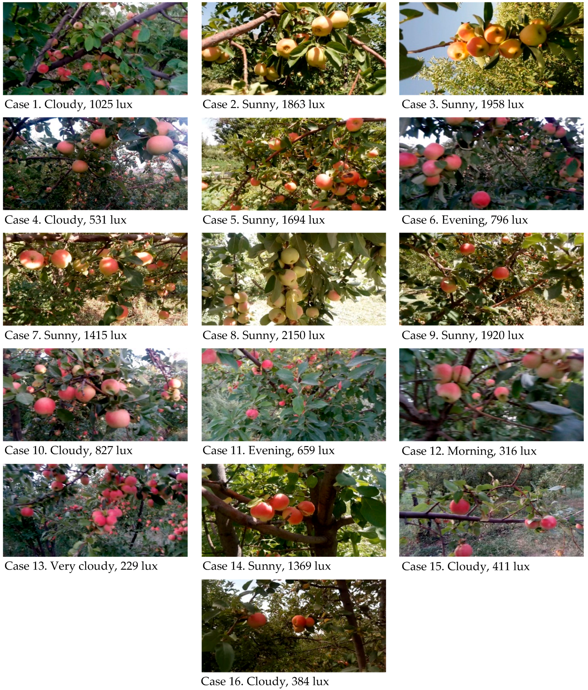 Water 10 01634 g002 550