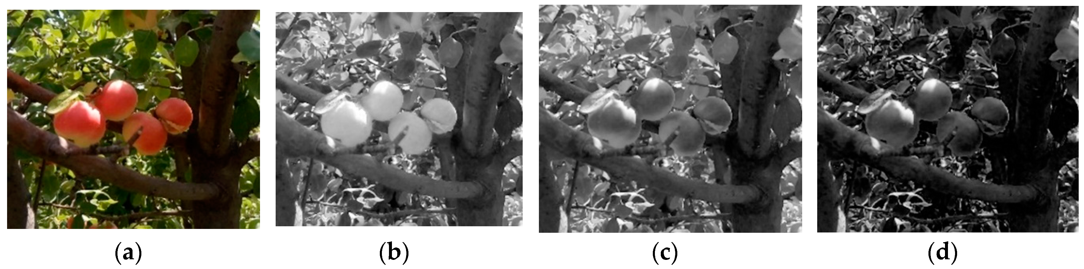 Water 10 01634 g003 550