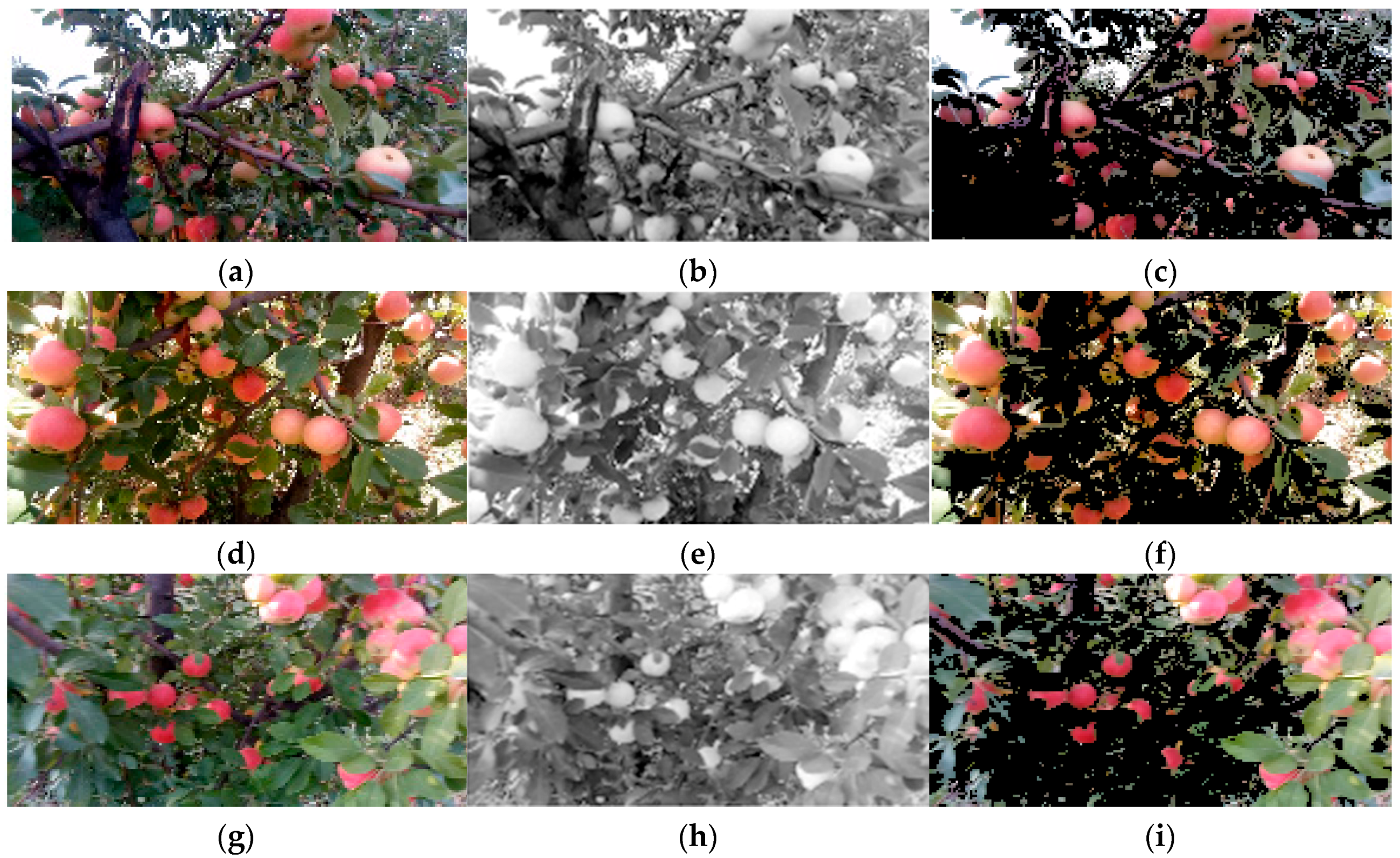 Water 10 01634 g006 550