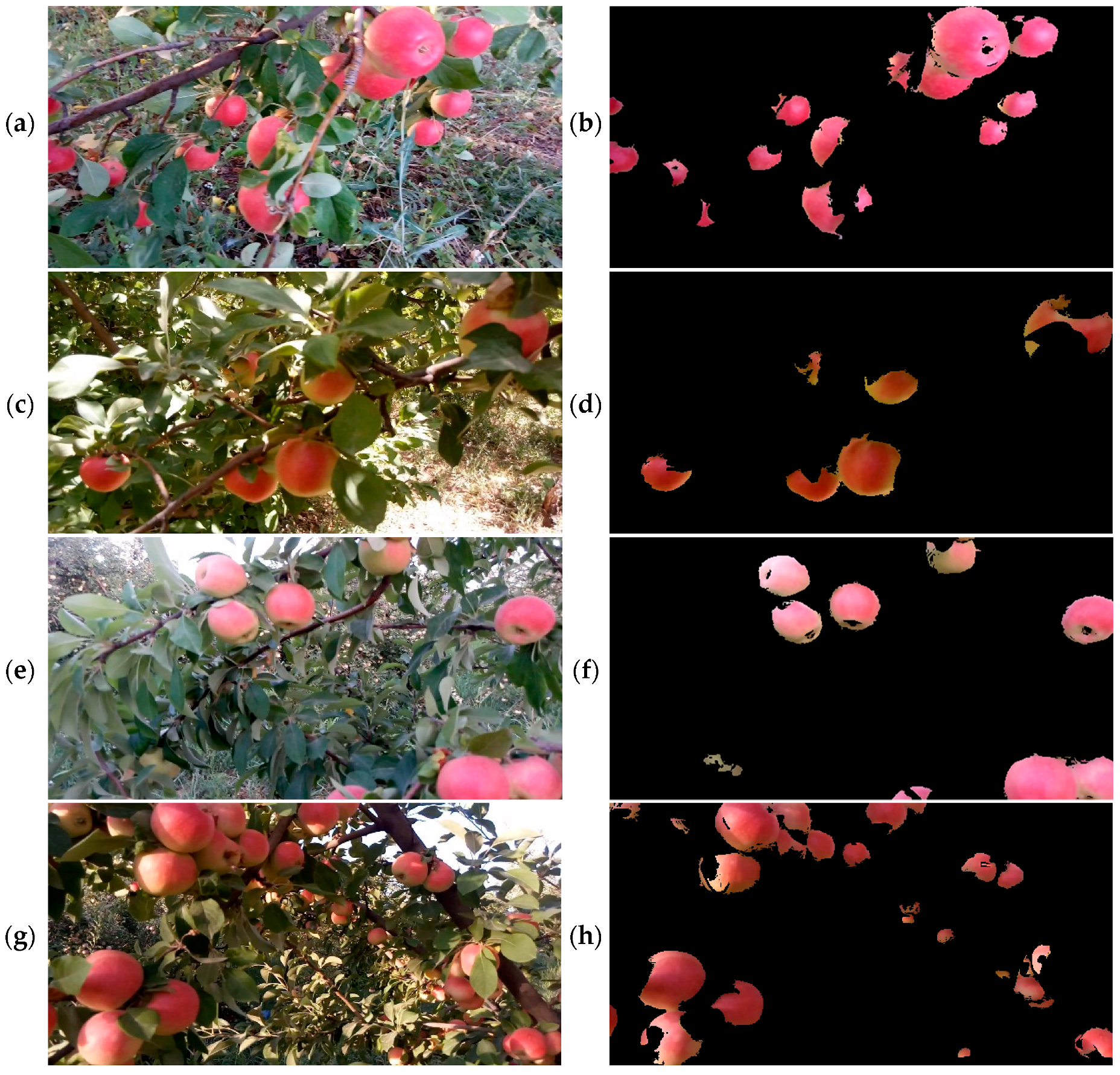 Water 10 01634 g010a 550