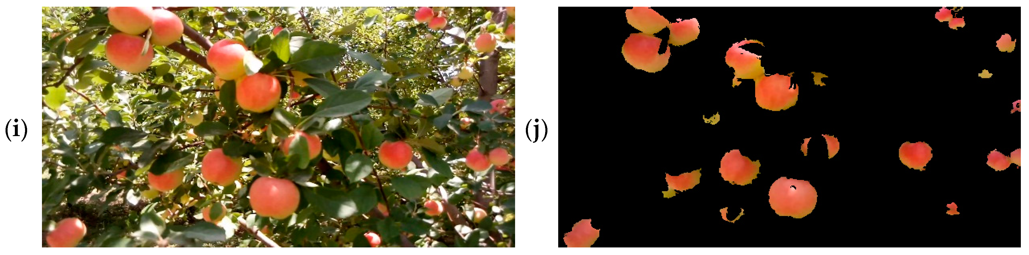 Water 10 01634 g010b 550