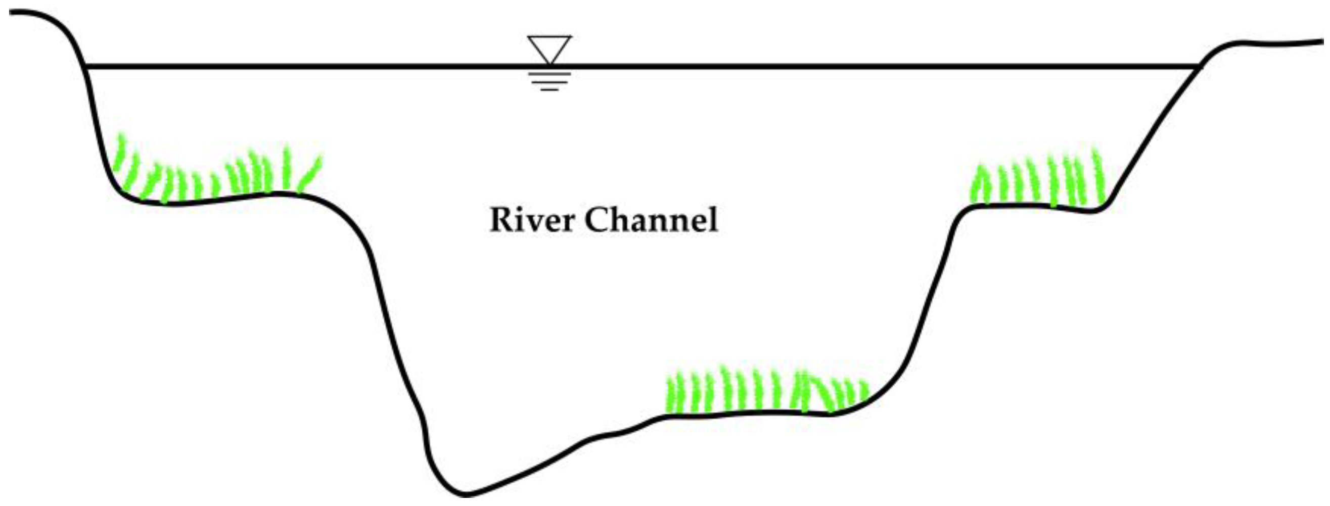 Water 10 01656 g001 Water 10 01656 g001