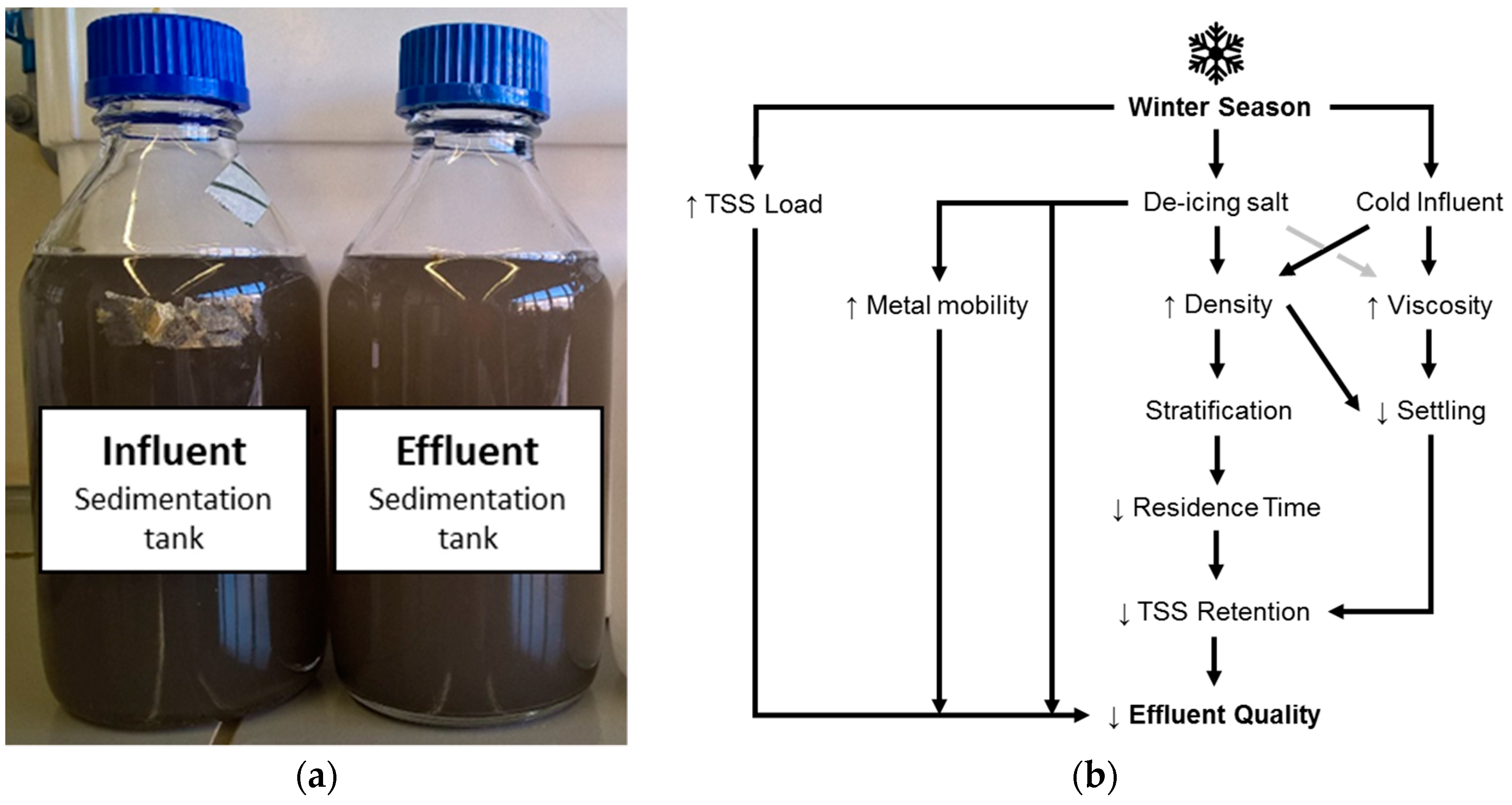 Water Free Full Text Influence Of Temperature And De