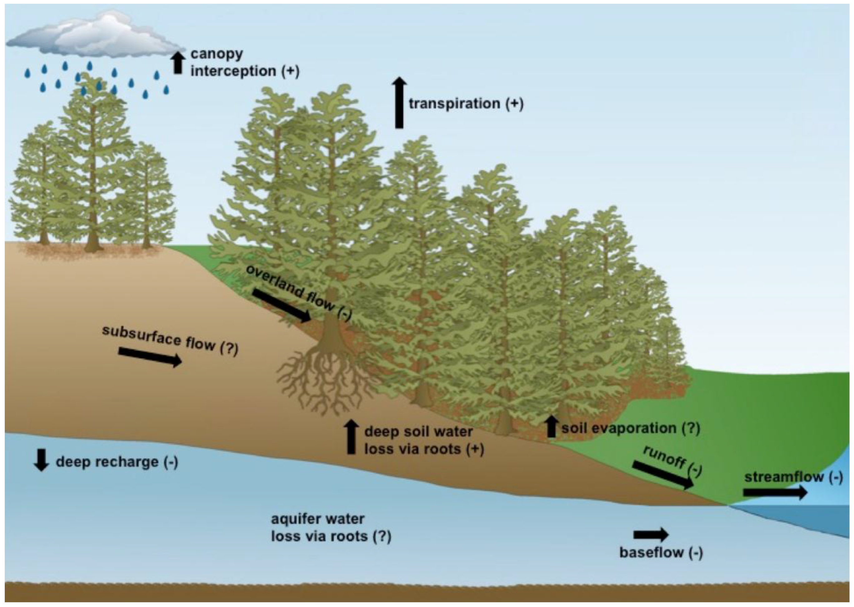 https://www.mdpi.com/water/water-10-01768/article_deploy/html/images/water-10-01768-g003.png