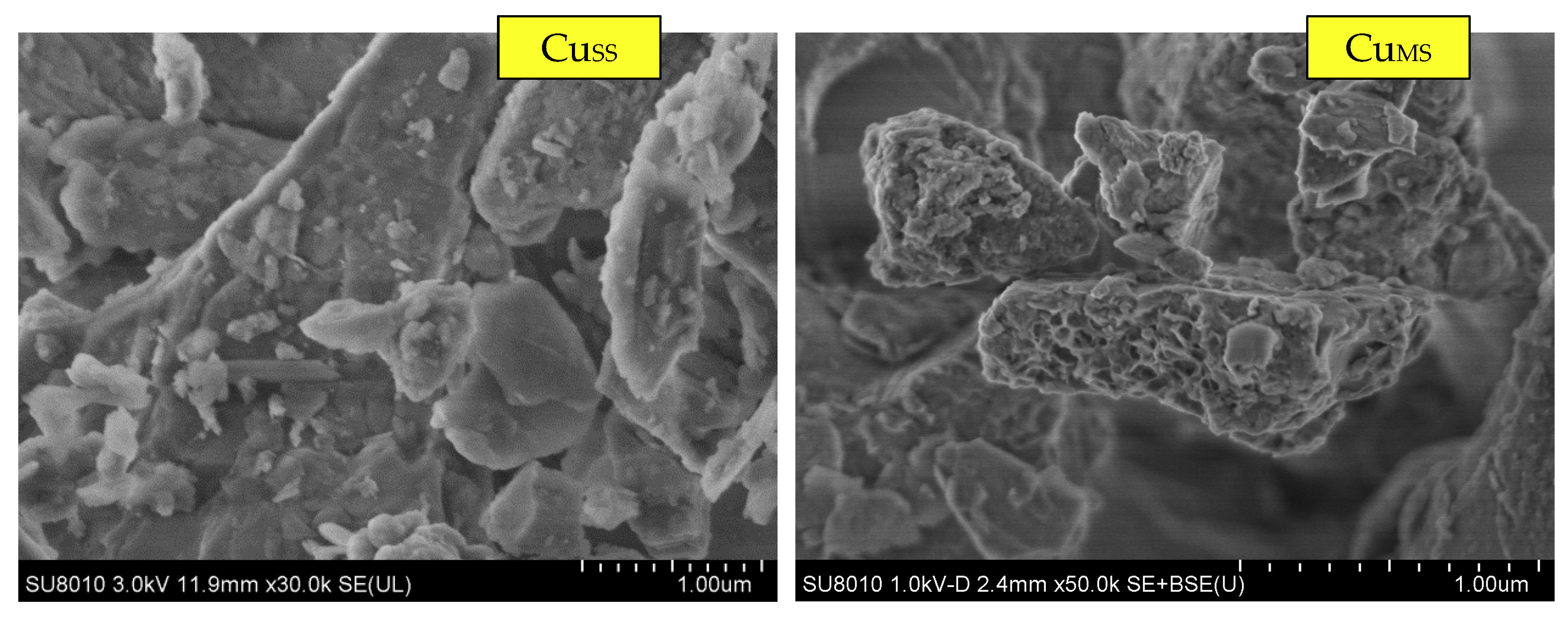 Water 10 01816 g005 Water 10 01816 g005