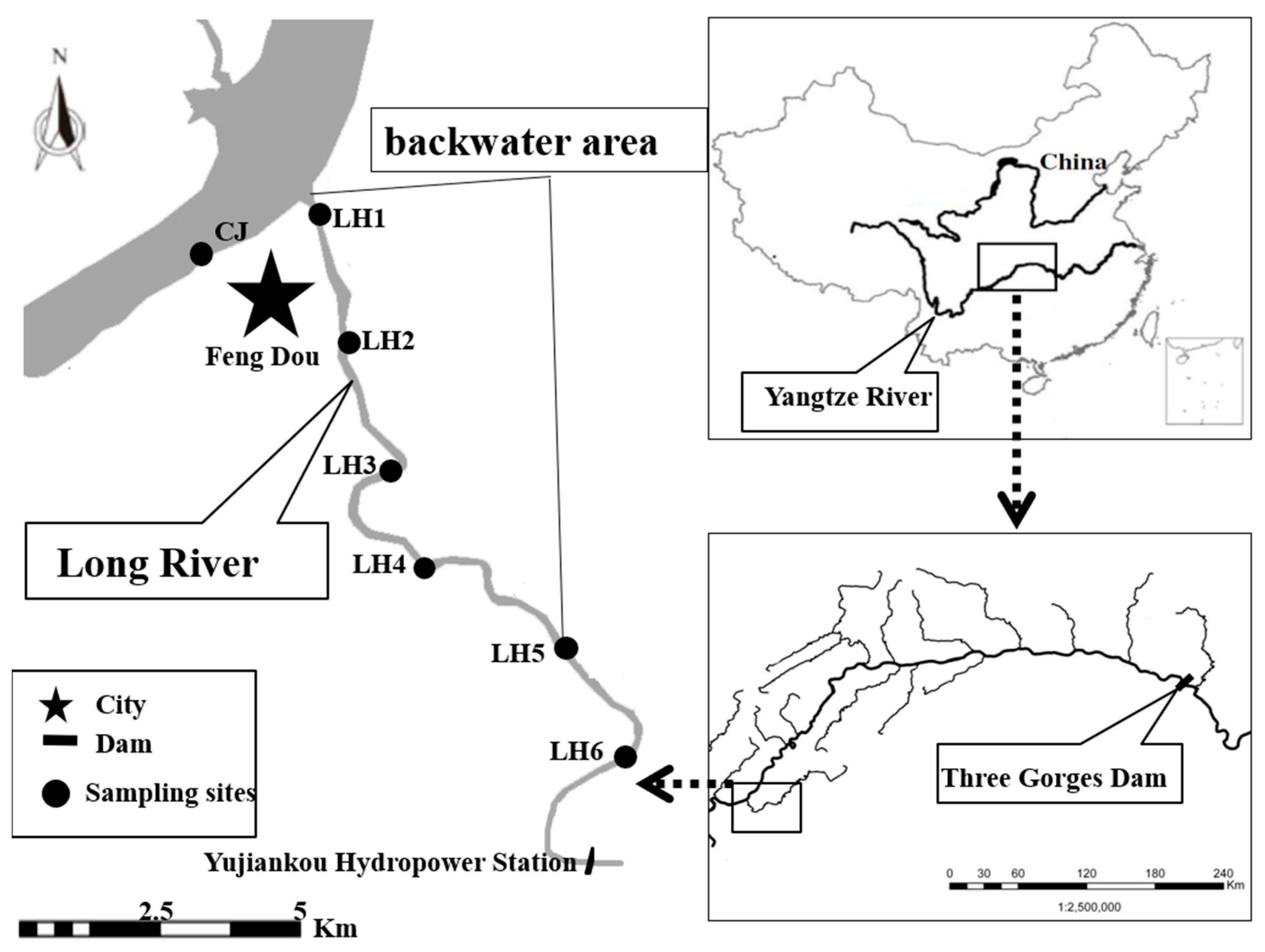 Water 10 01831 g001 Water 10 01831 g001