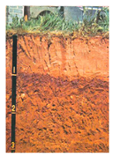 Water 10 01846 i001 Water 10 01846 i001