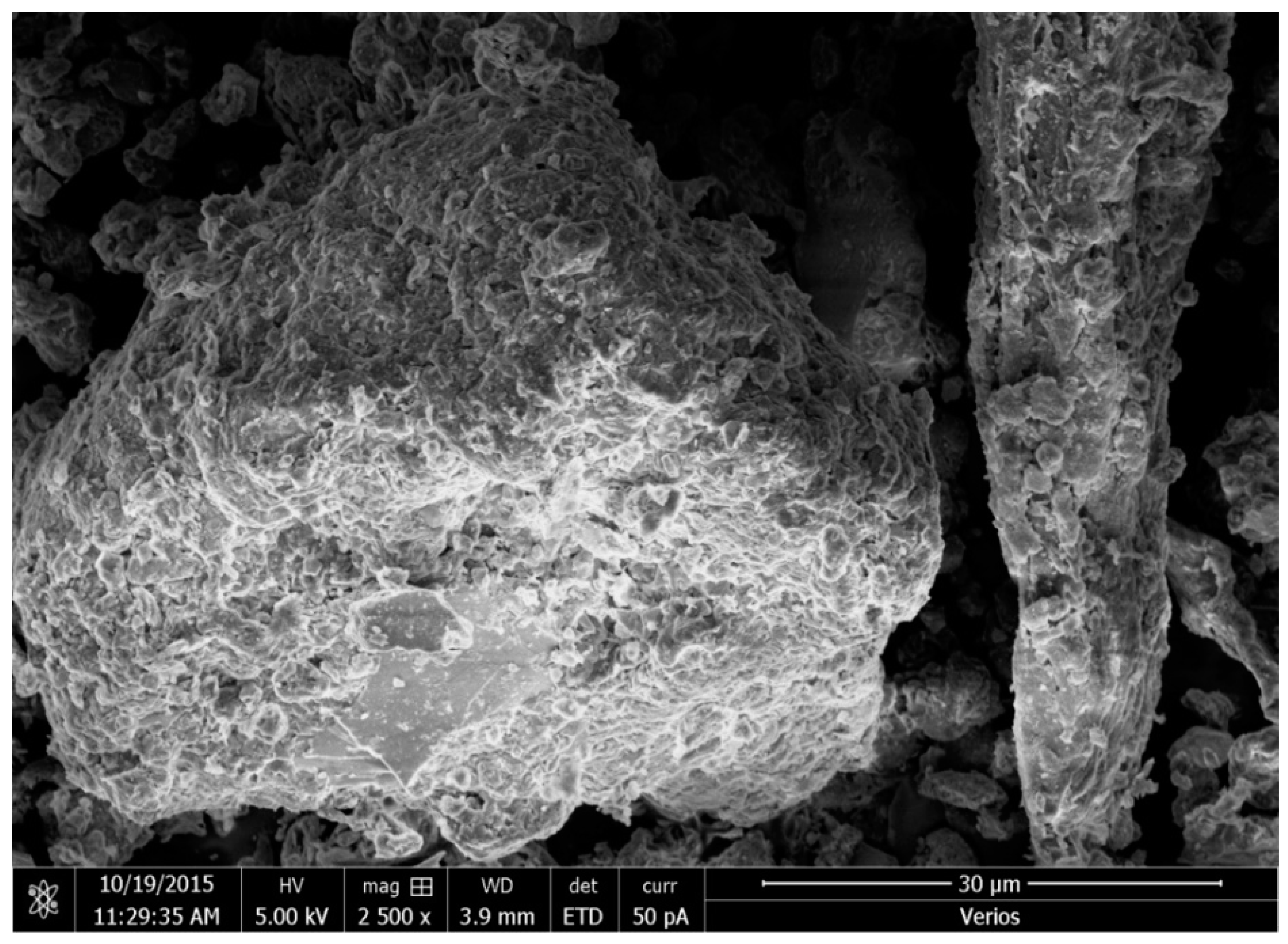 Water 10 01875 g012