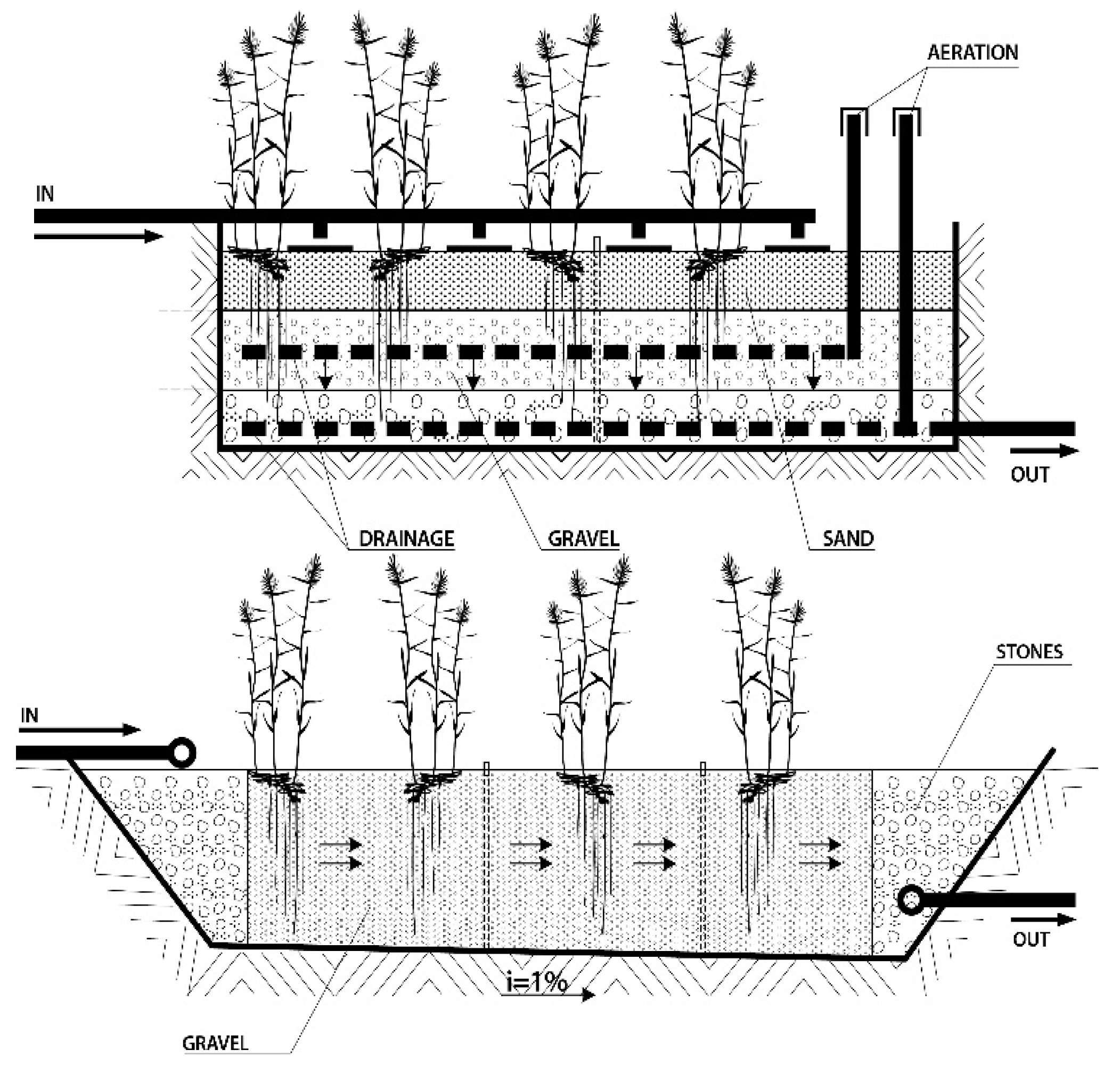 Water 11 00180 g002