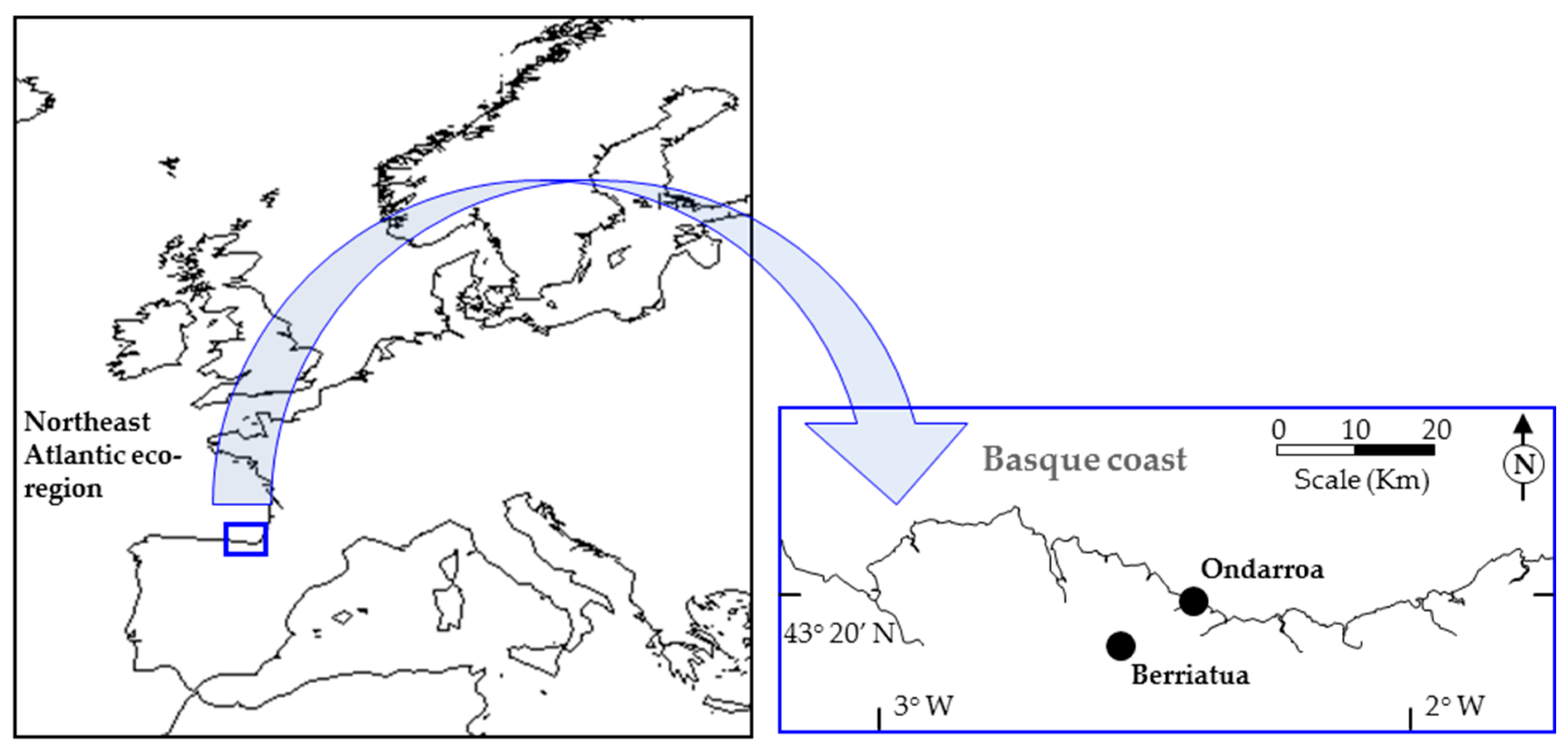 Water 11 00223 g002 550