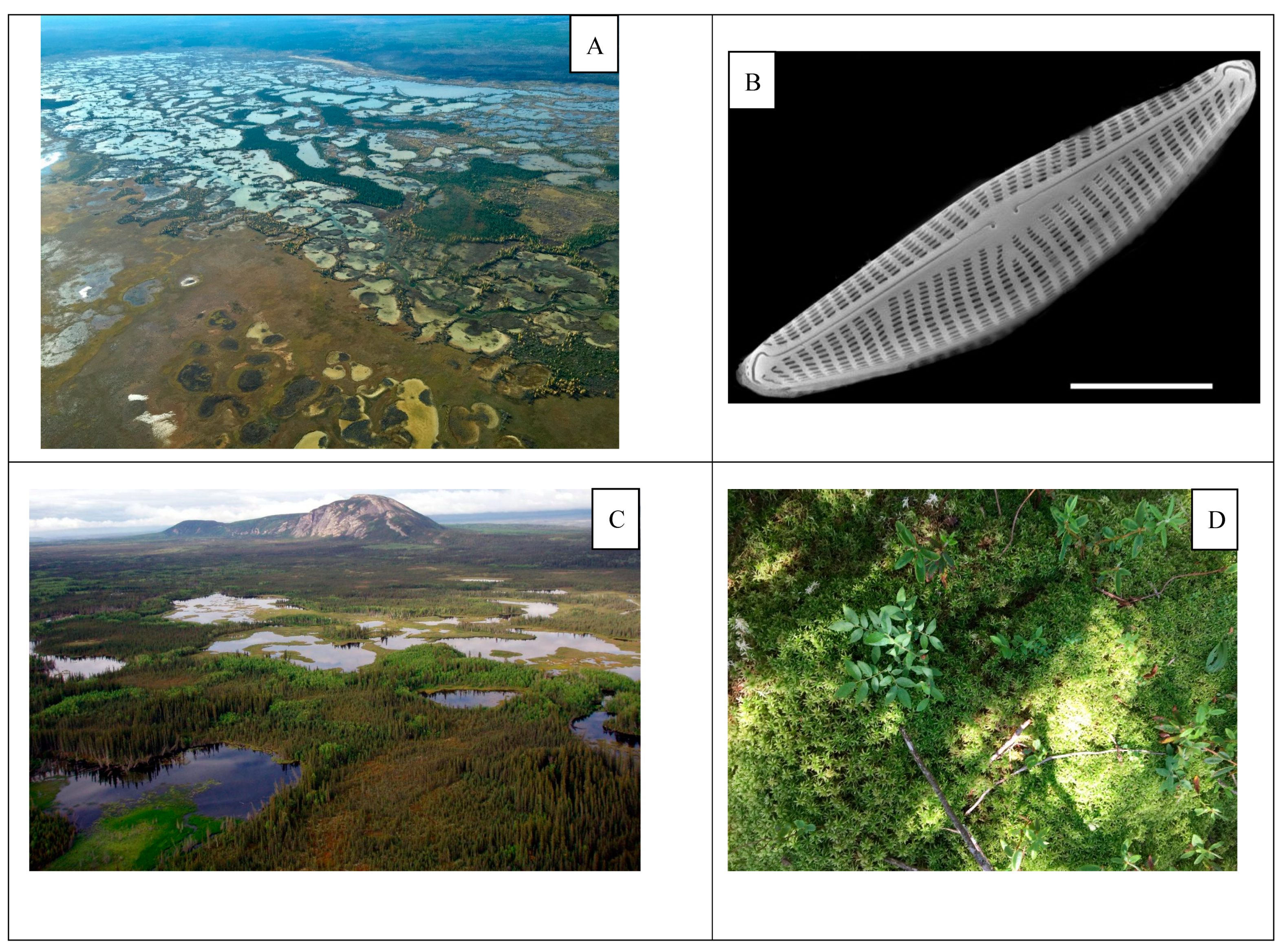 Water 11 00265 g004a Water 11 00265 g004a