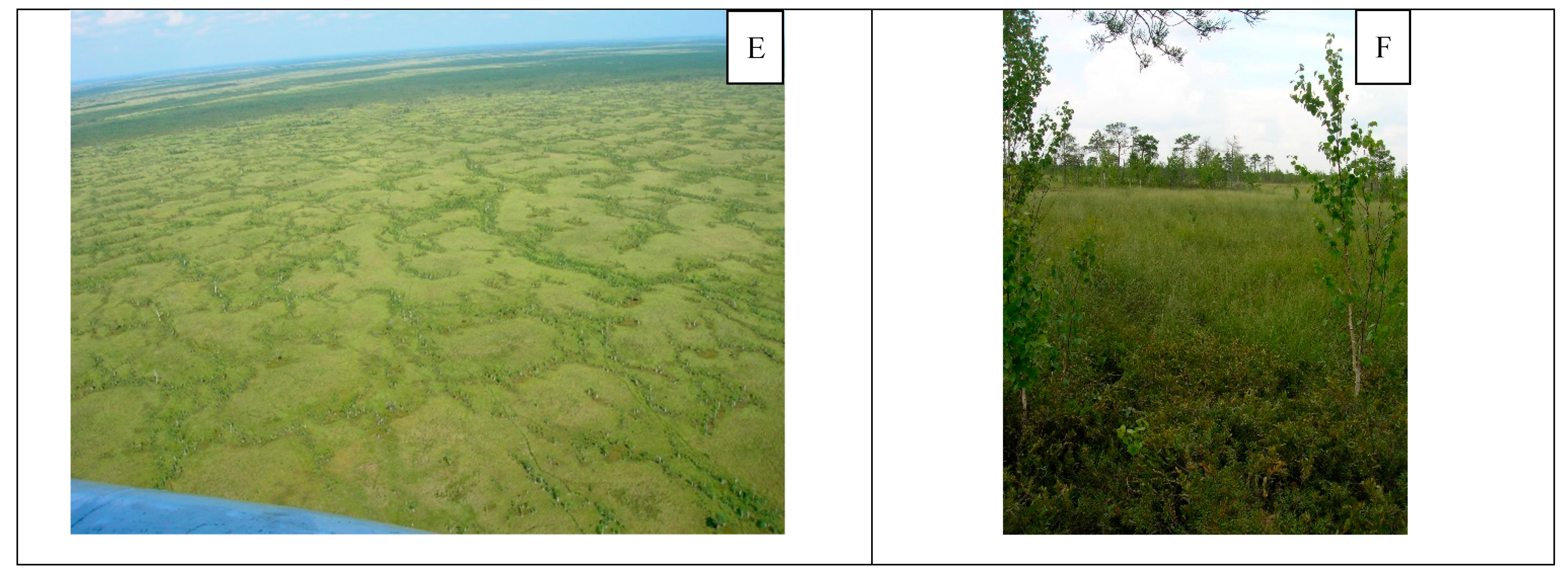 Water 11 00265 g004b Water 11 00265 g004b