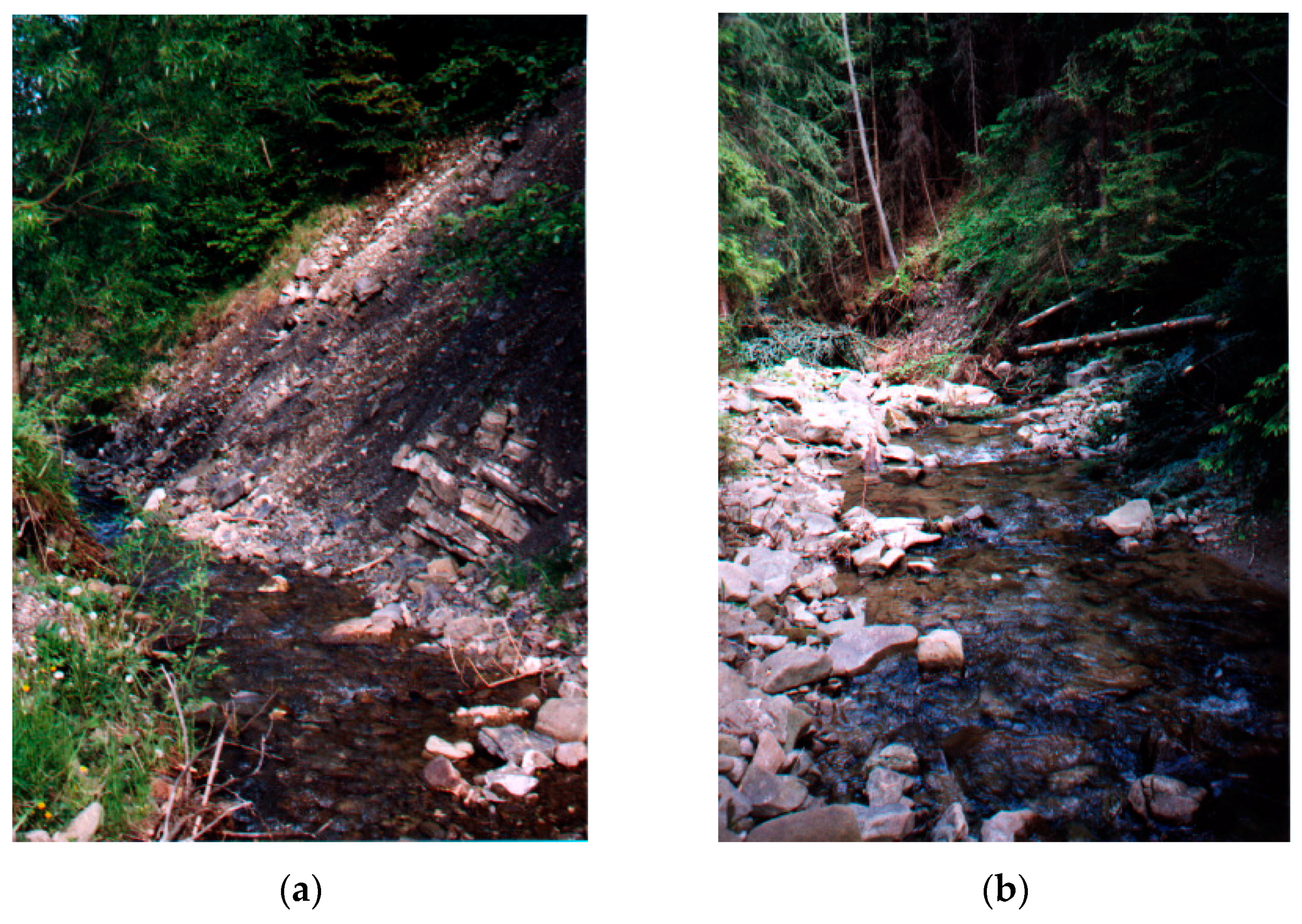 Water 11 00272 g002 Water 11 00272 g002