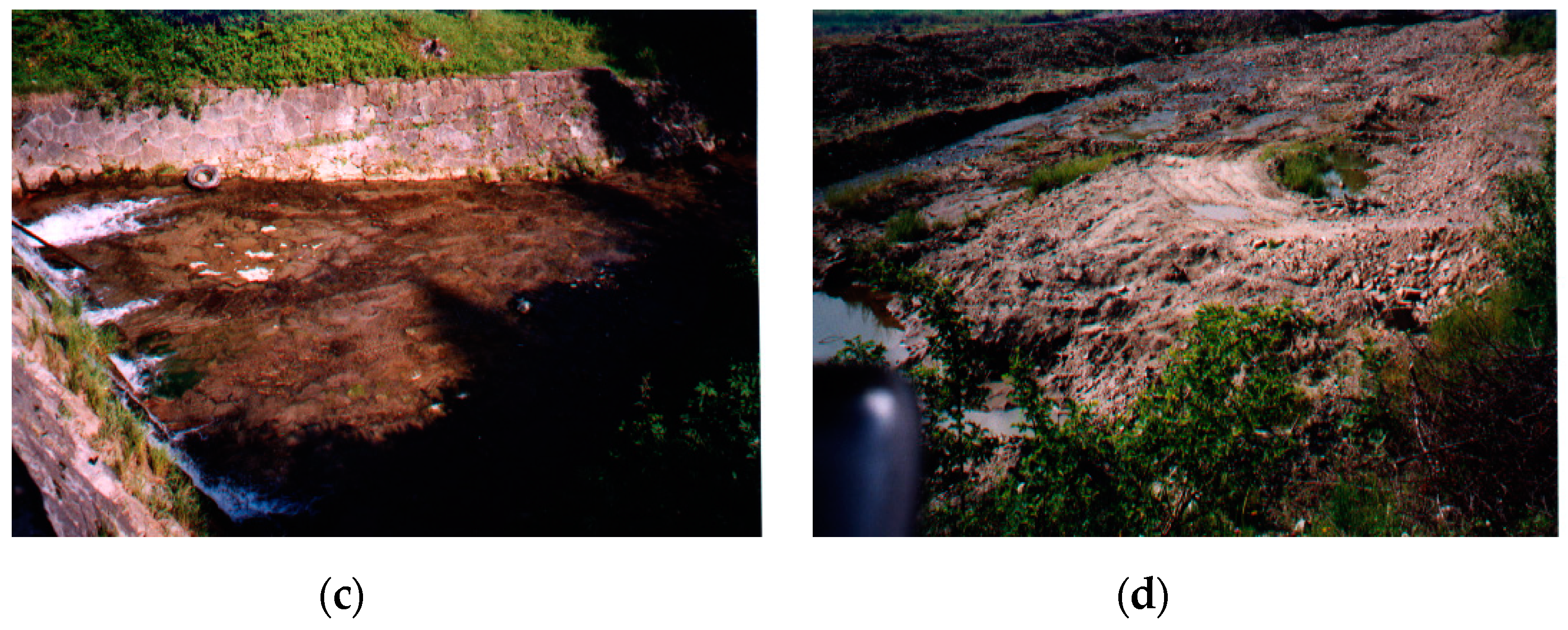 Water 11 00272 g003b Water 11 00272 g003b