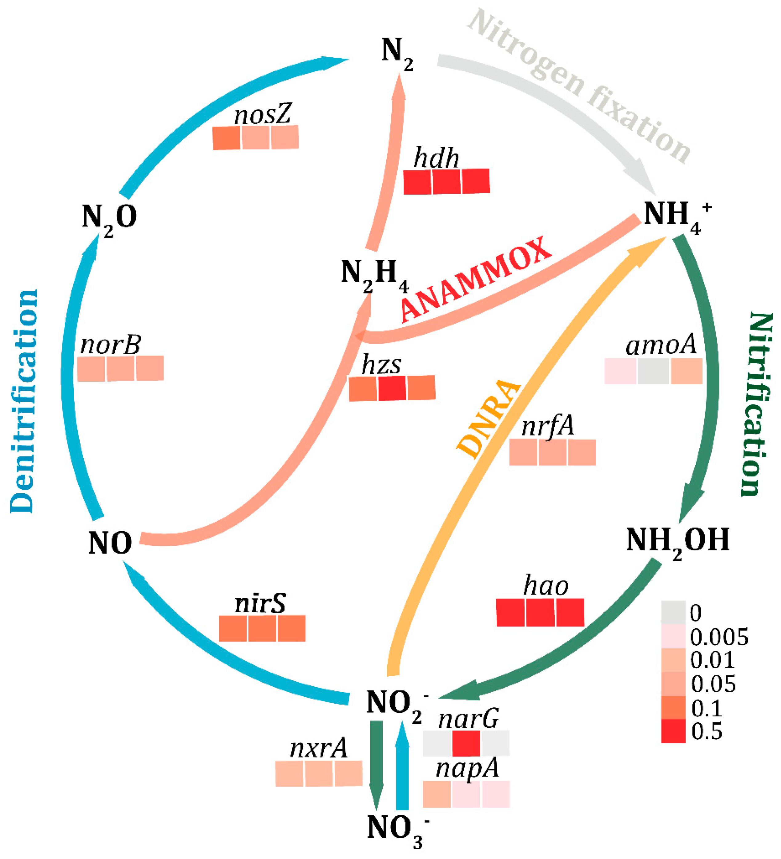 Water 11 00365 g005 Water 11 00365 g005