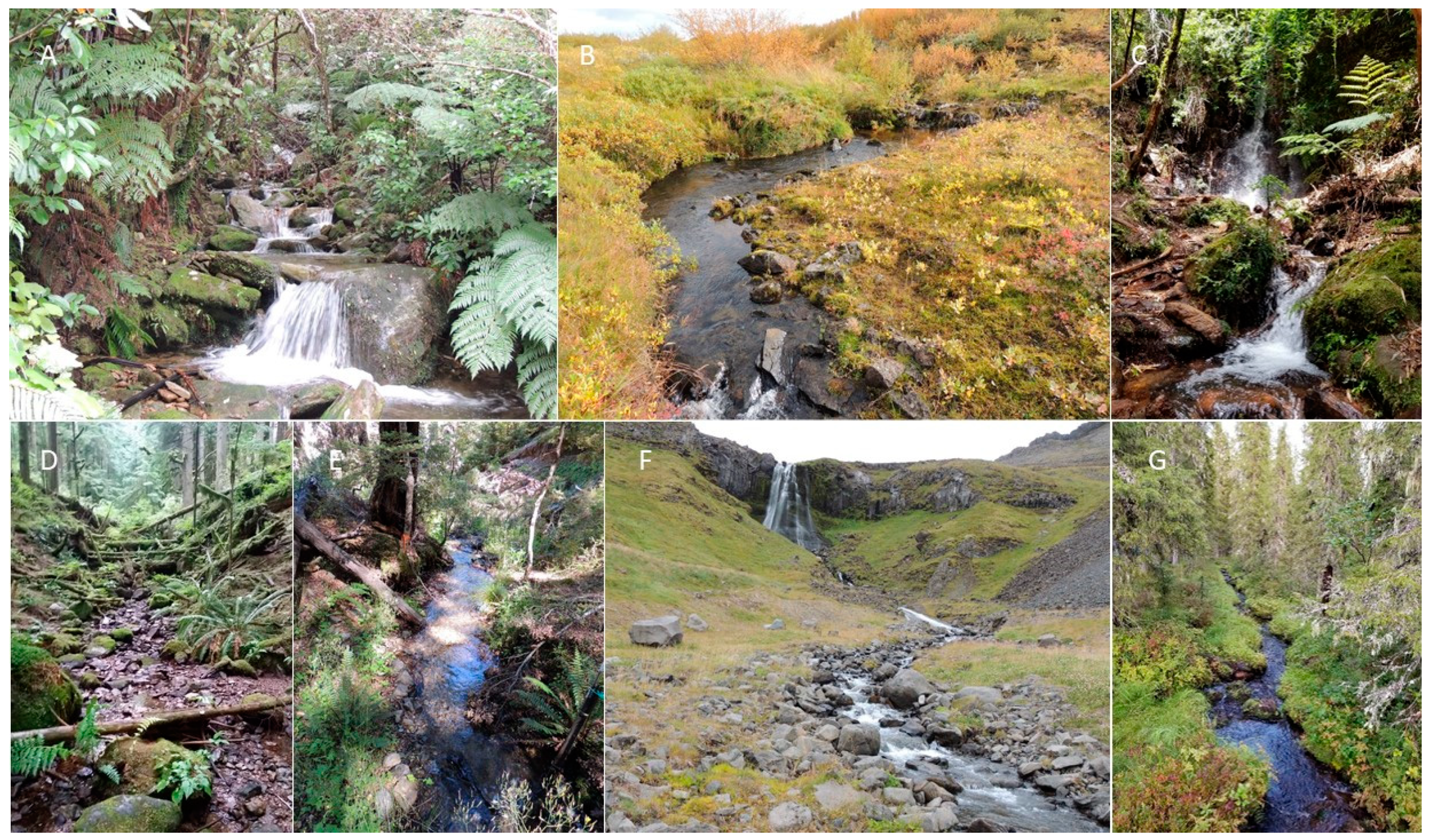 Water Free Full Text Biological Diversity In Headwater Streams Html