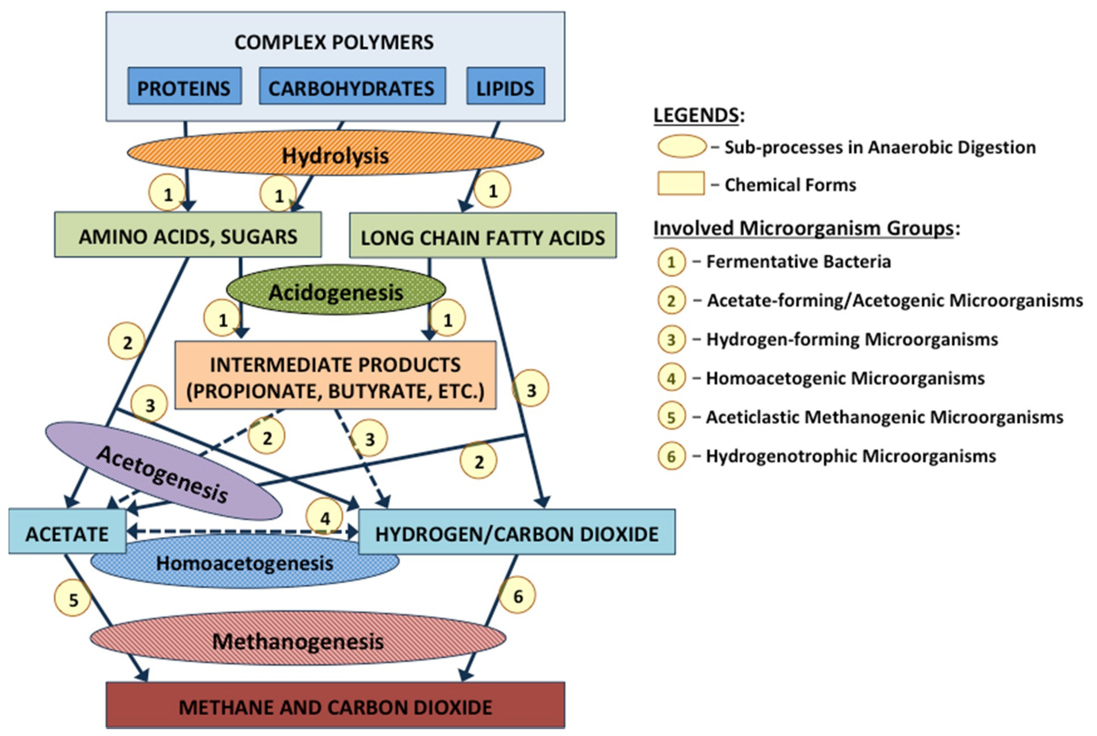 Water 11 00372 g001 Water 11 00372 g001
