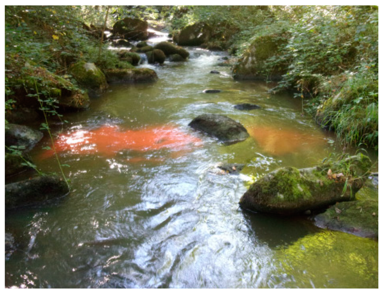 Water Free Full Text What Discharge Is Required To Remove Silt And Sand Downstream From A Dam An Adaptive Approach On The Selves River France Html