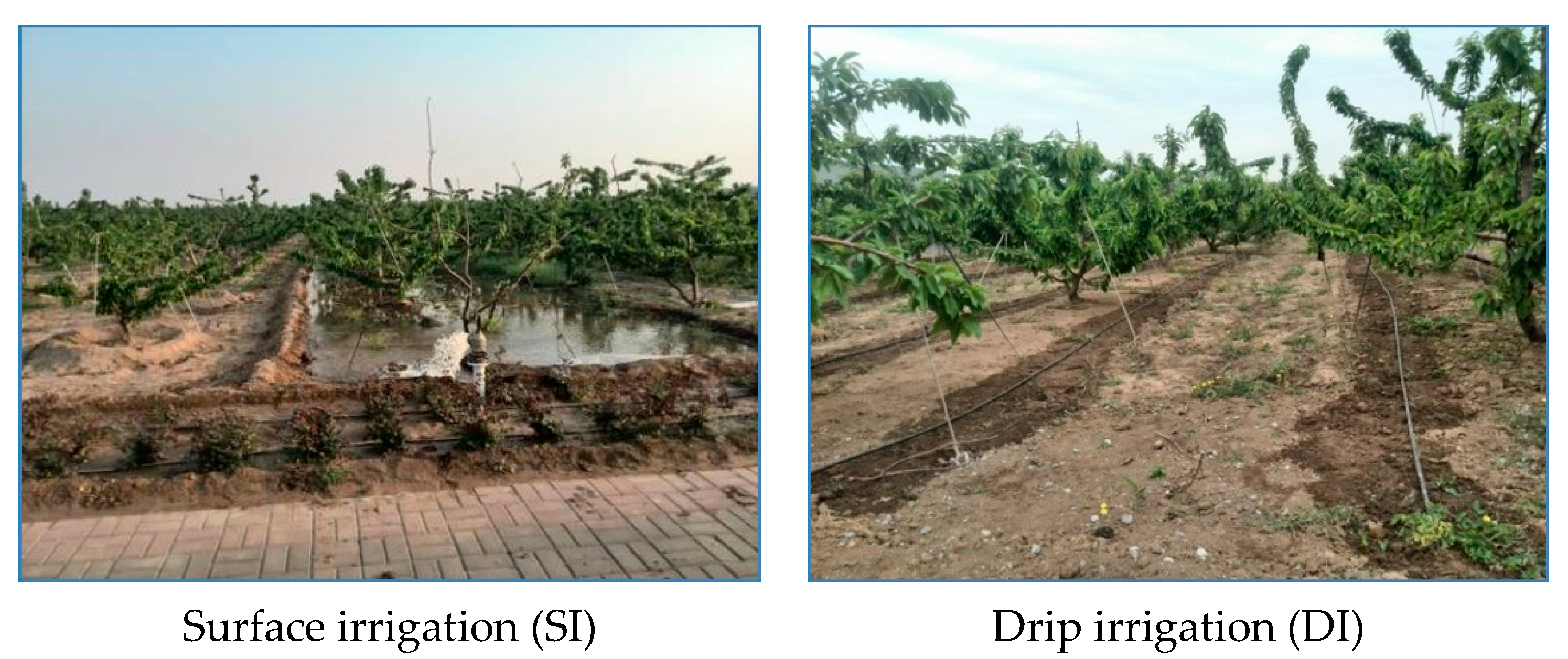 Water 11 00495 g001 550