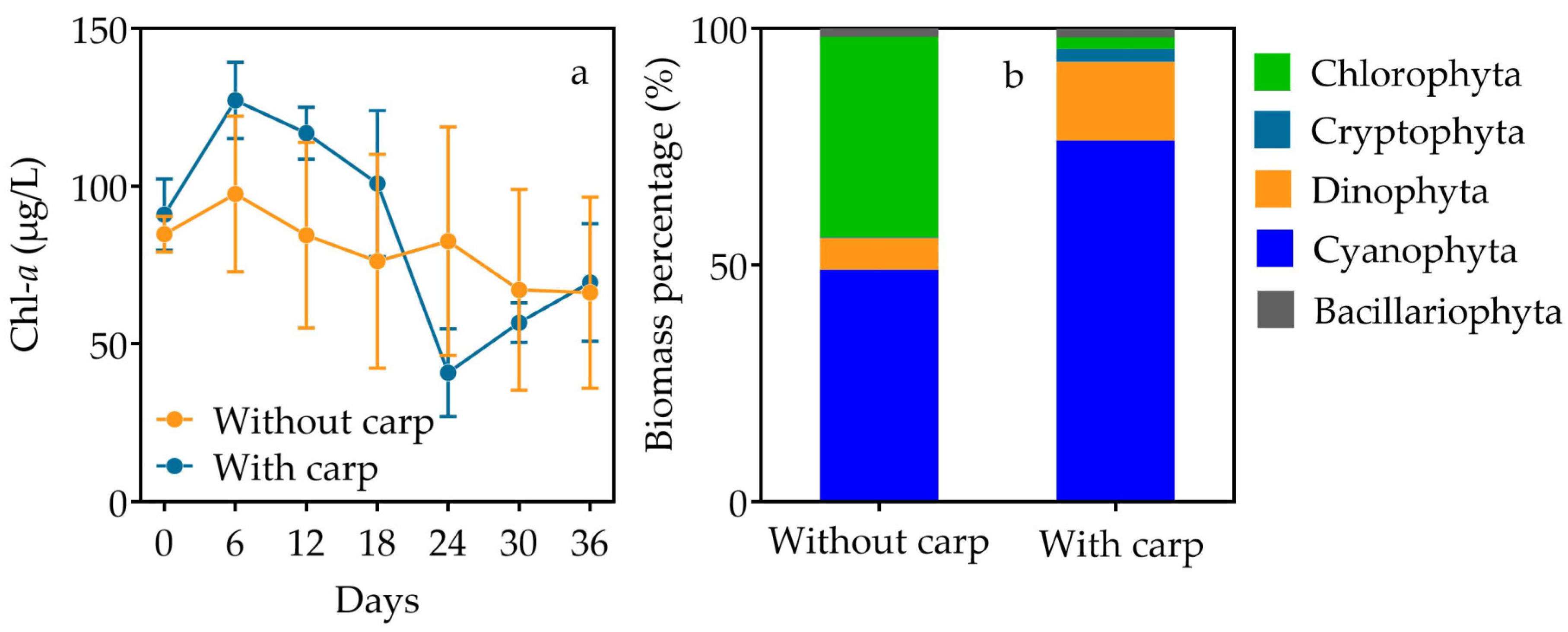 Water 11 00524 g003 550