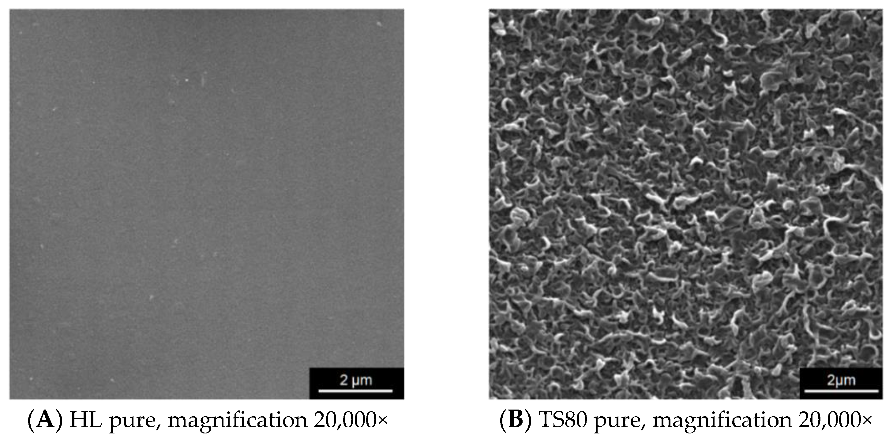 Water 11 00541 g007 550