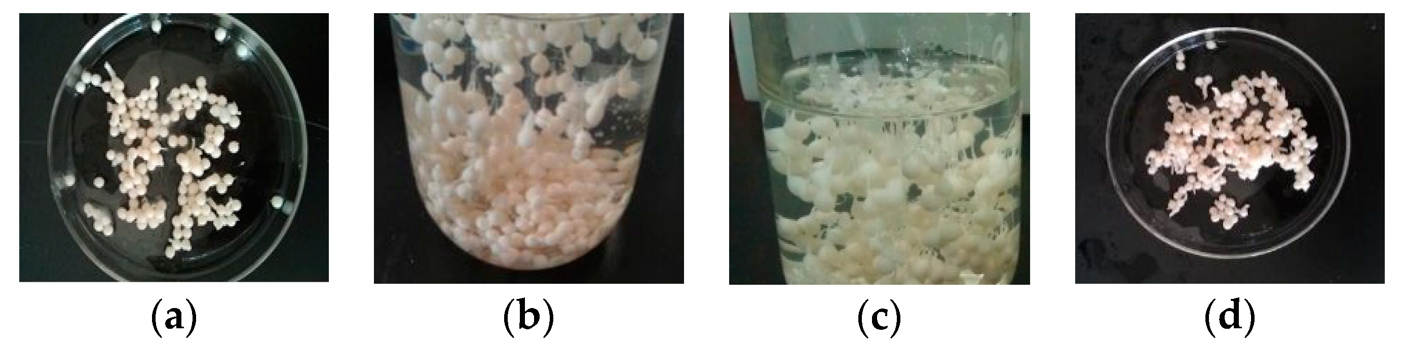 Water 11 00614 g003 Water 11 00614 g003