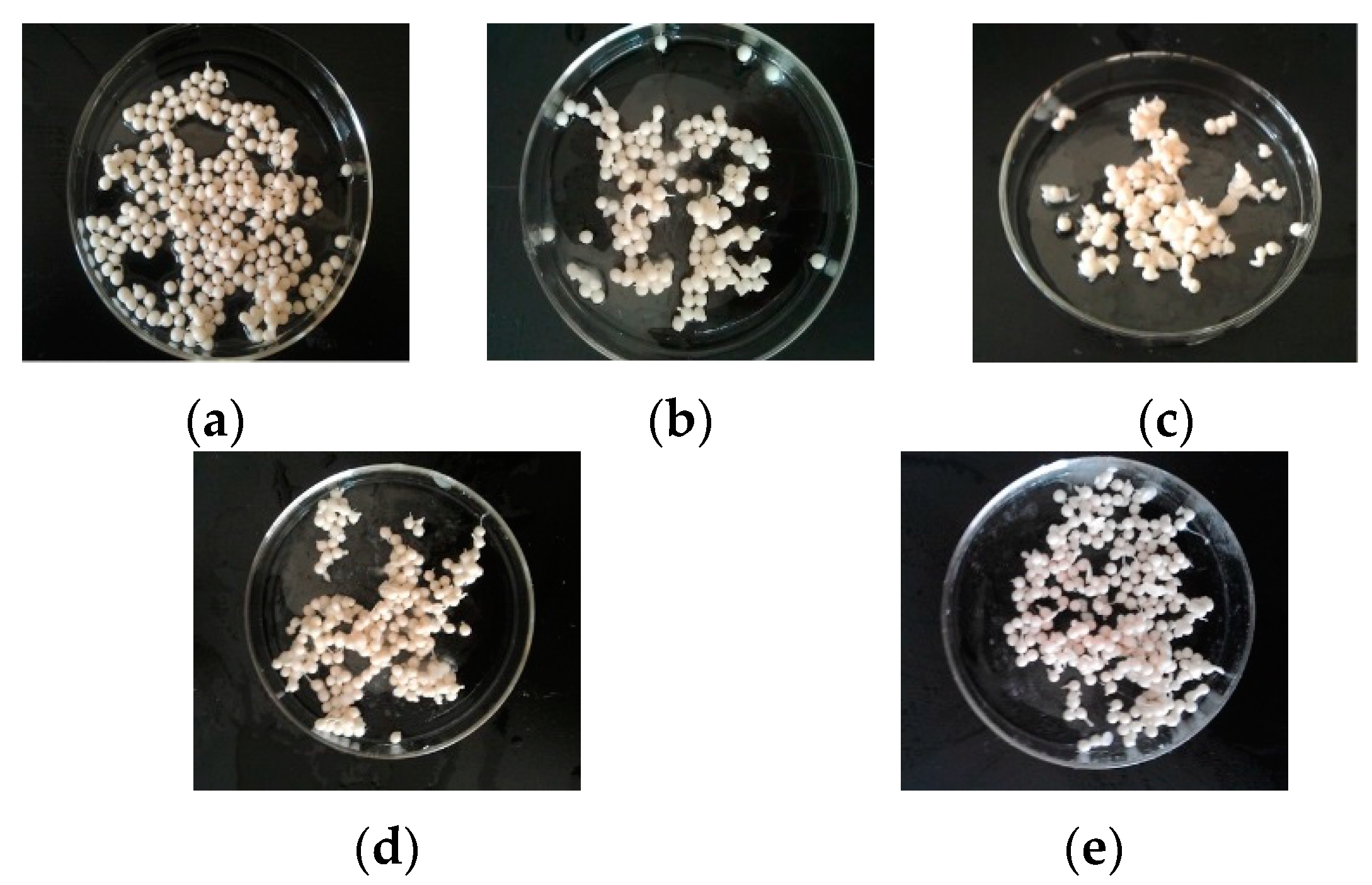 Water 11 00614 g004 Water 11 00614 g004