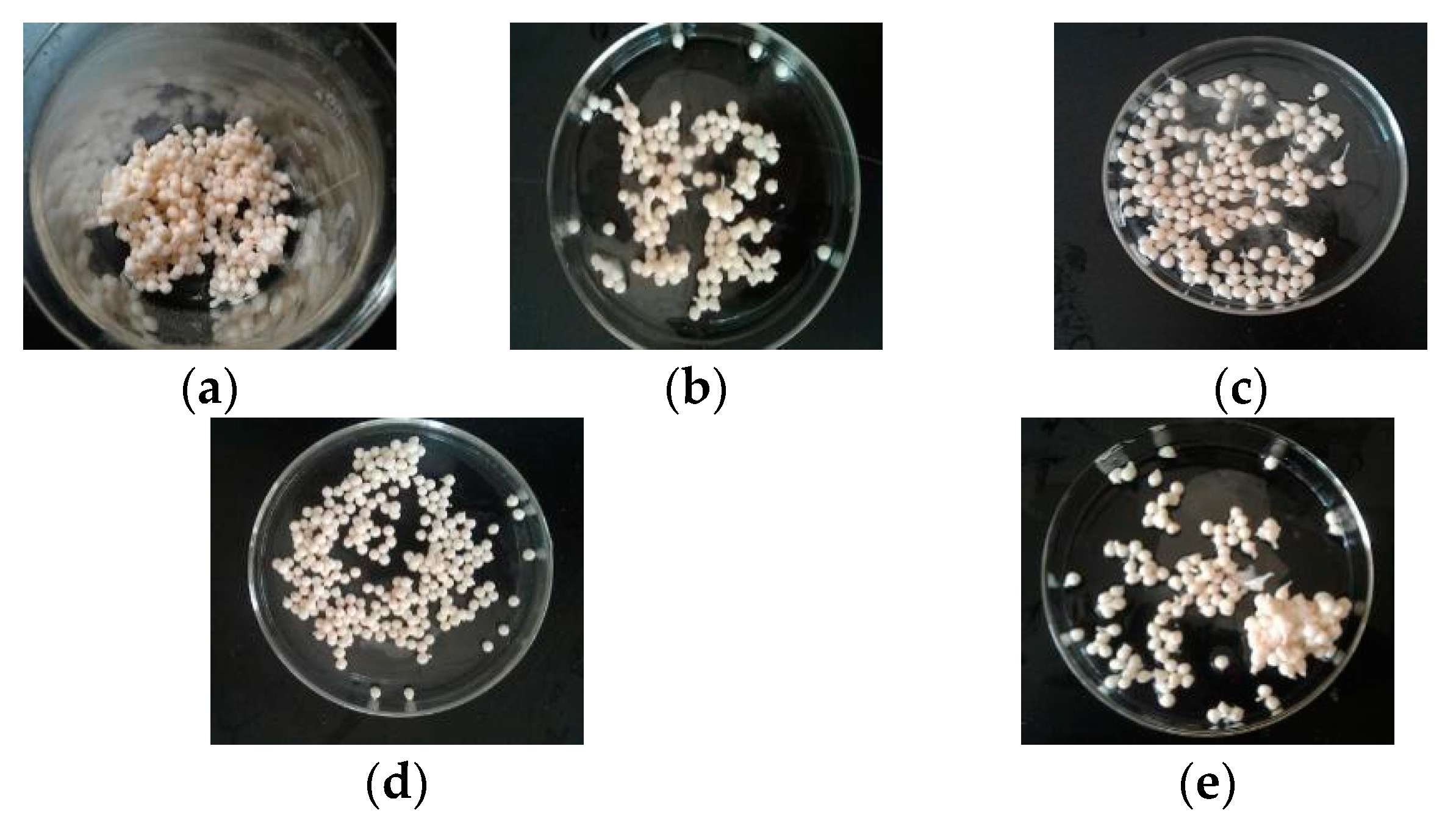 Water 11 00614 g005 Water 11 00614 g005