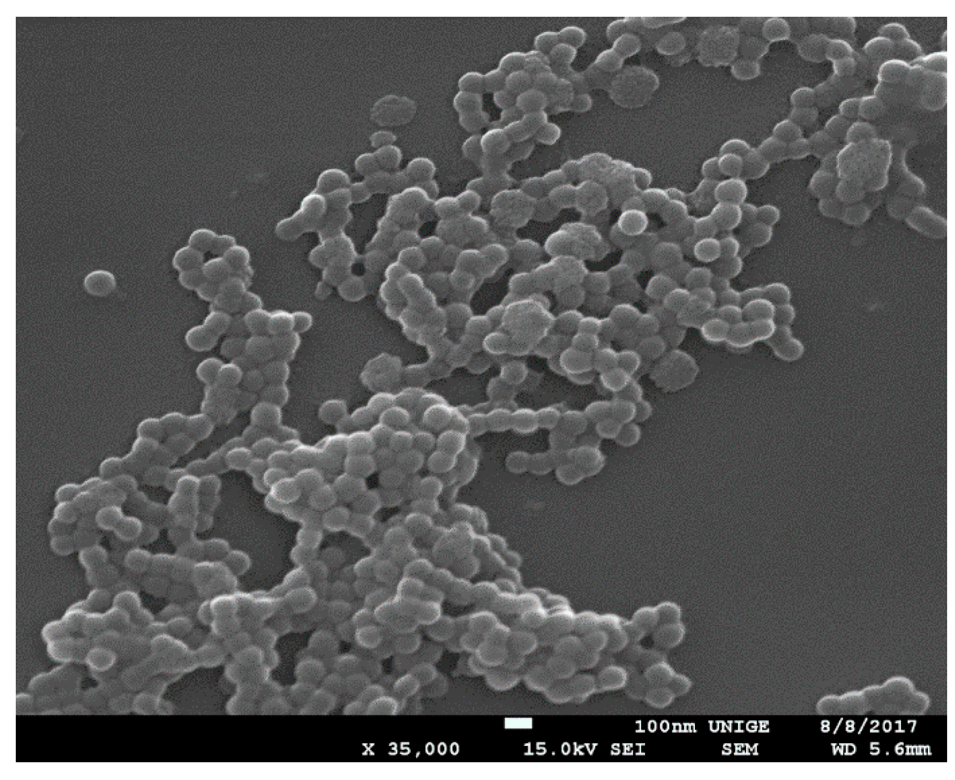 Water 11 00721 g010 550