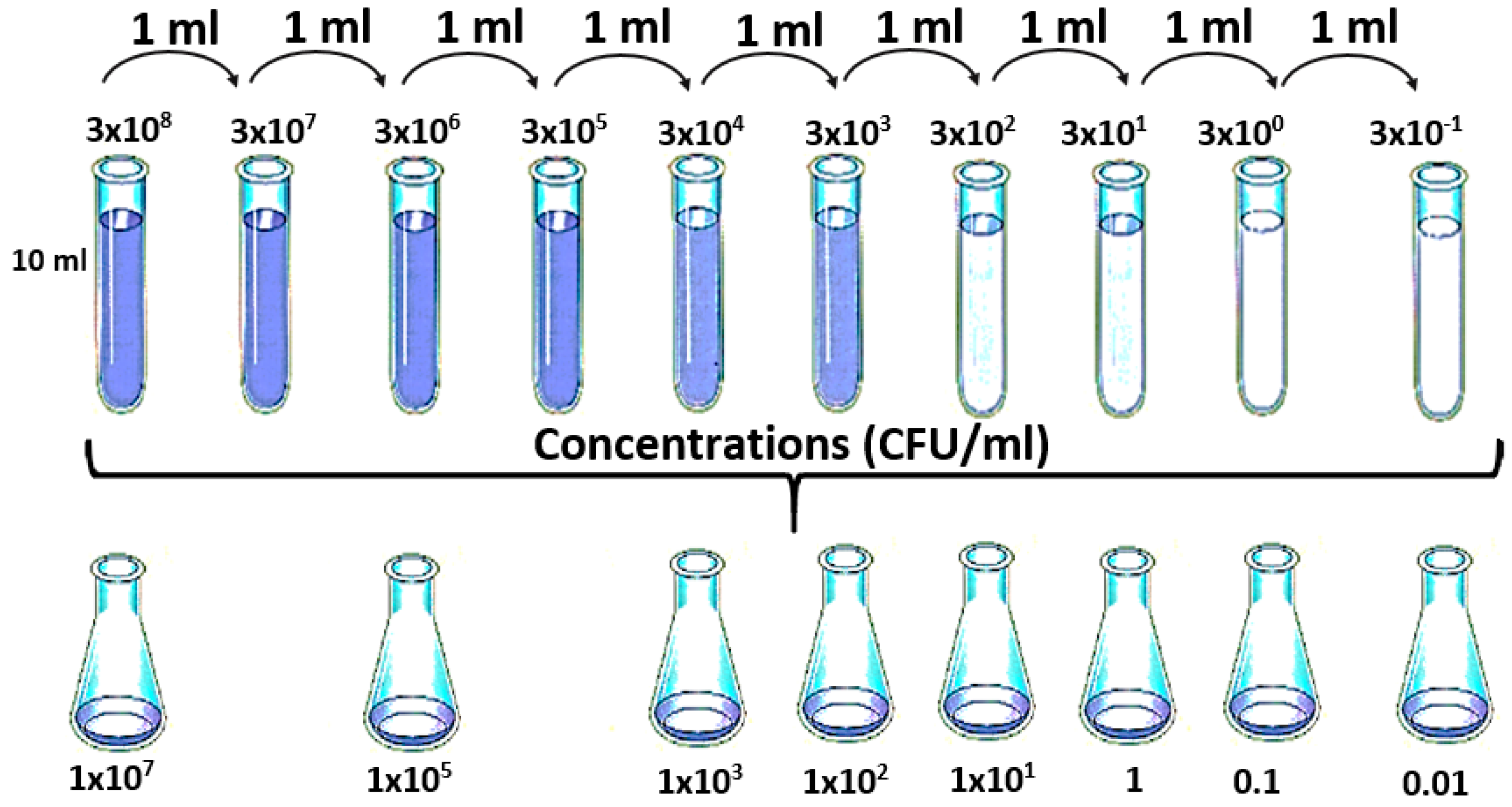 Water Free FullText Concentration Detection of the E. coli