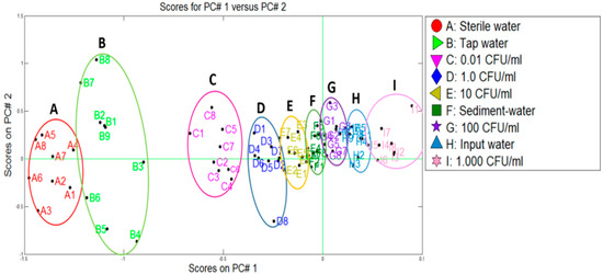 Water 11 00774 g007 550