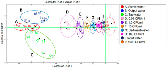 Water 11 00774 g008 550