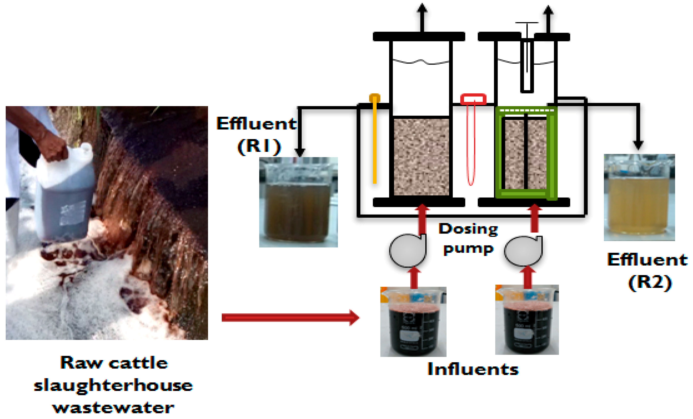 Start-up and performance evaluation of upflow anaerobic sludge