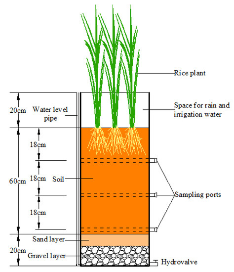 Grand Strand Water And Sewer Sod - change comin