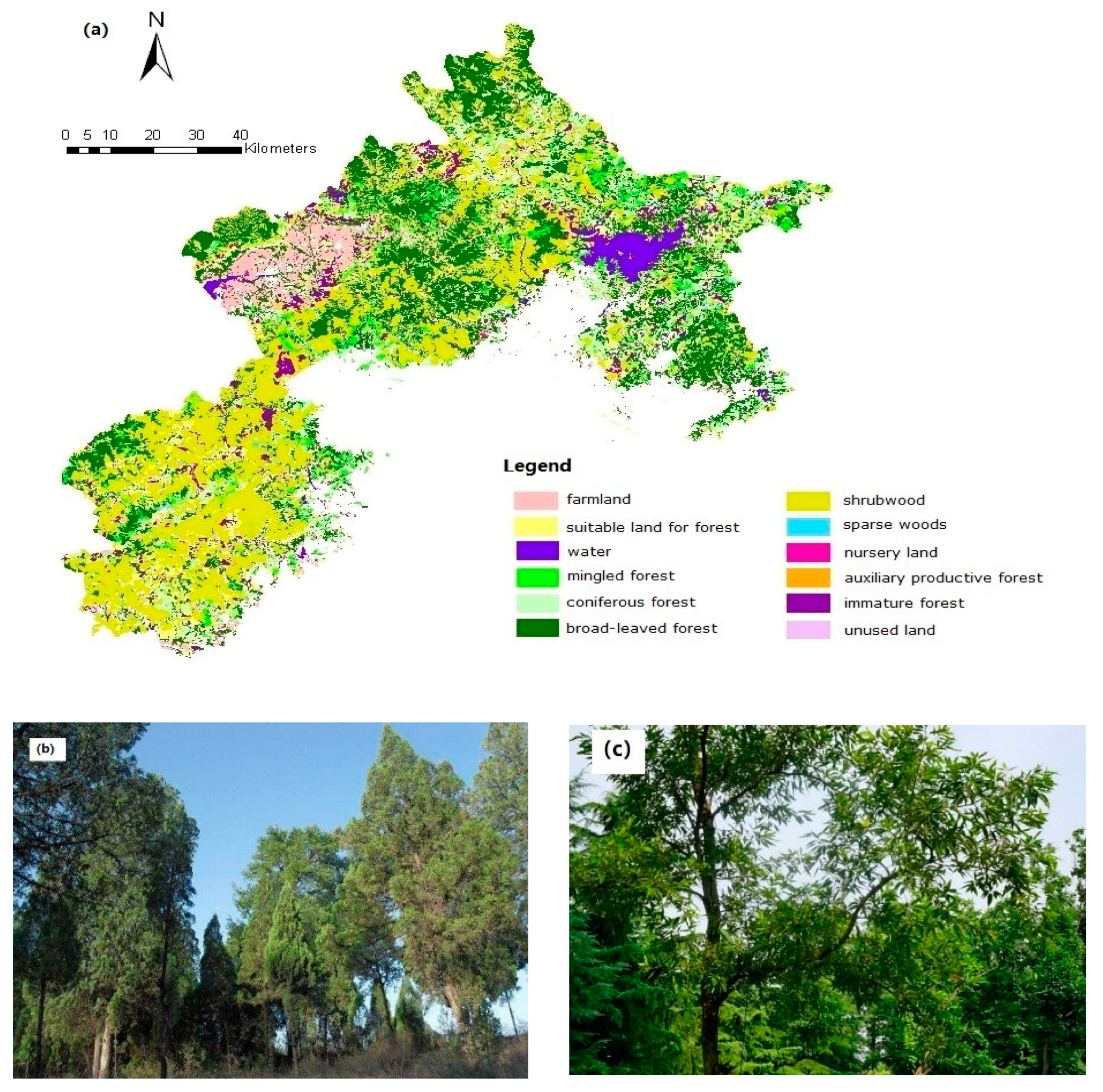 Water 11 00975 g002a