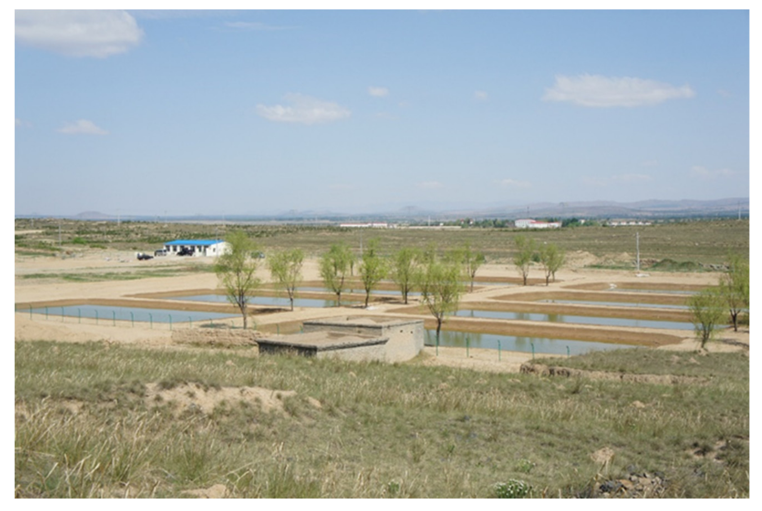 Water 11 01123 g003 Water 11 01123 g003