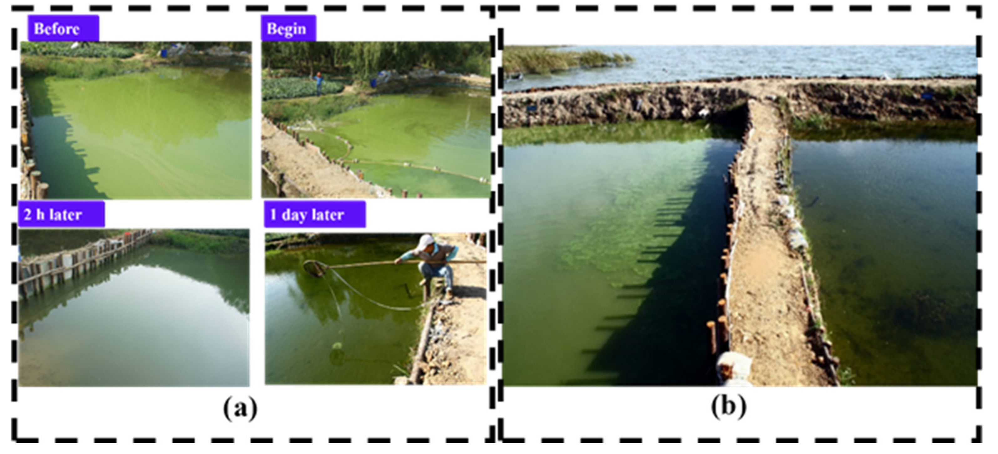 Water 11 01123 g005 Water 11 01123 g005