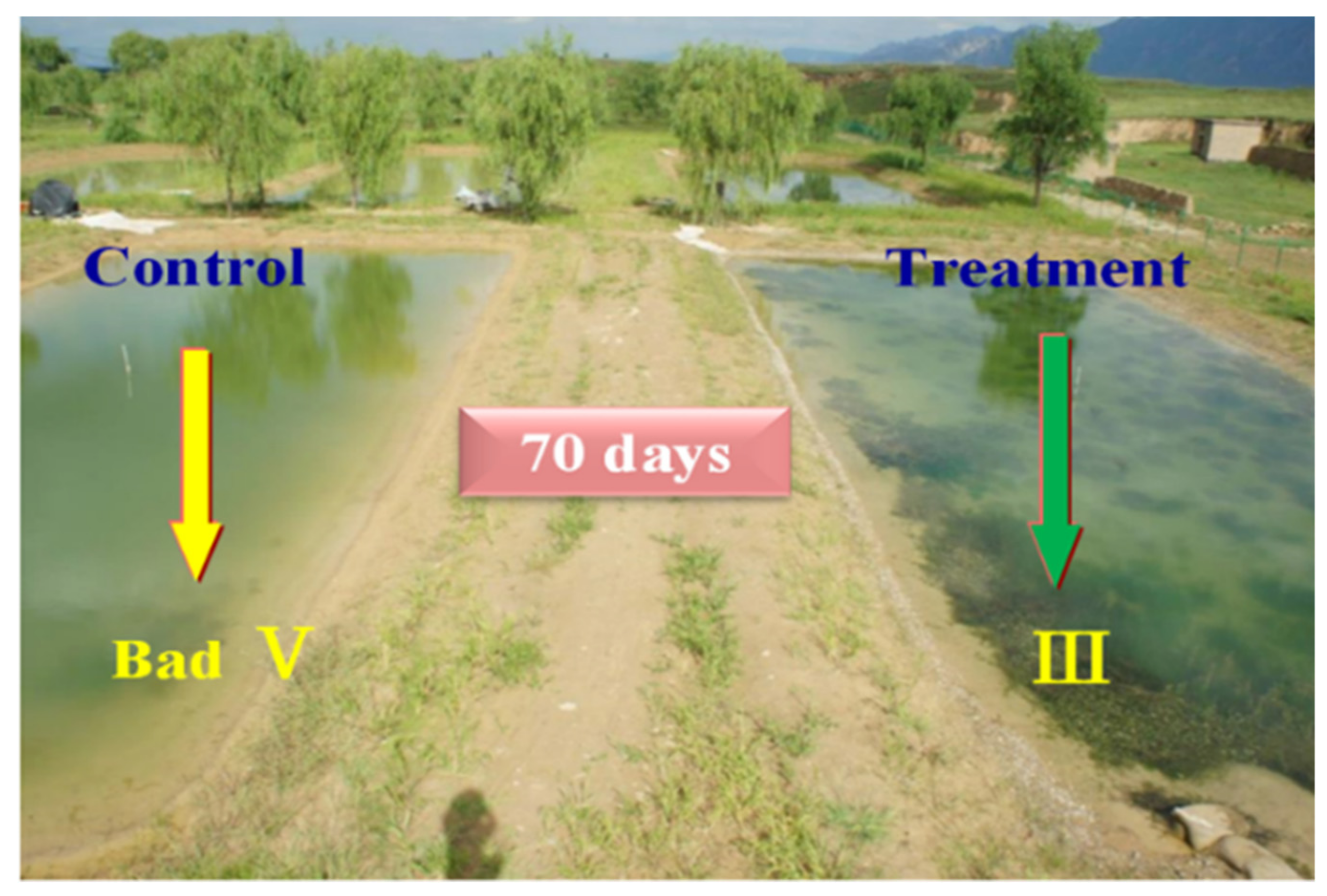 Water 11 01123 g008 Water 11 01123 g008