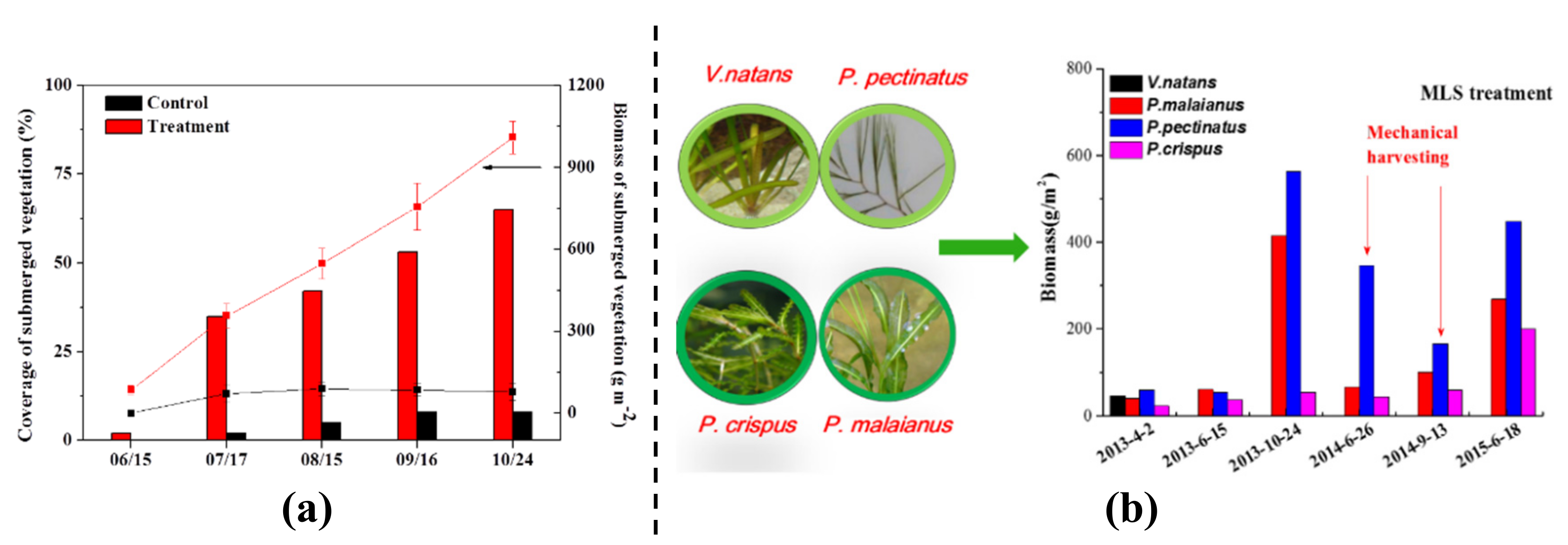 Water 11 01123 g012 Water 11 01123 g012