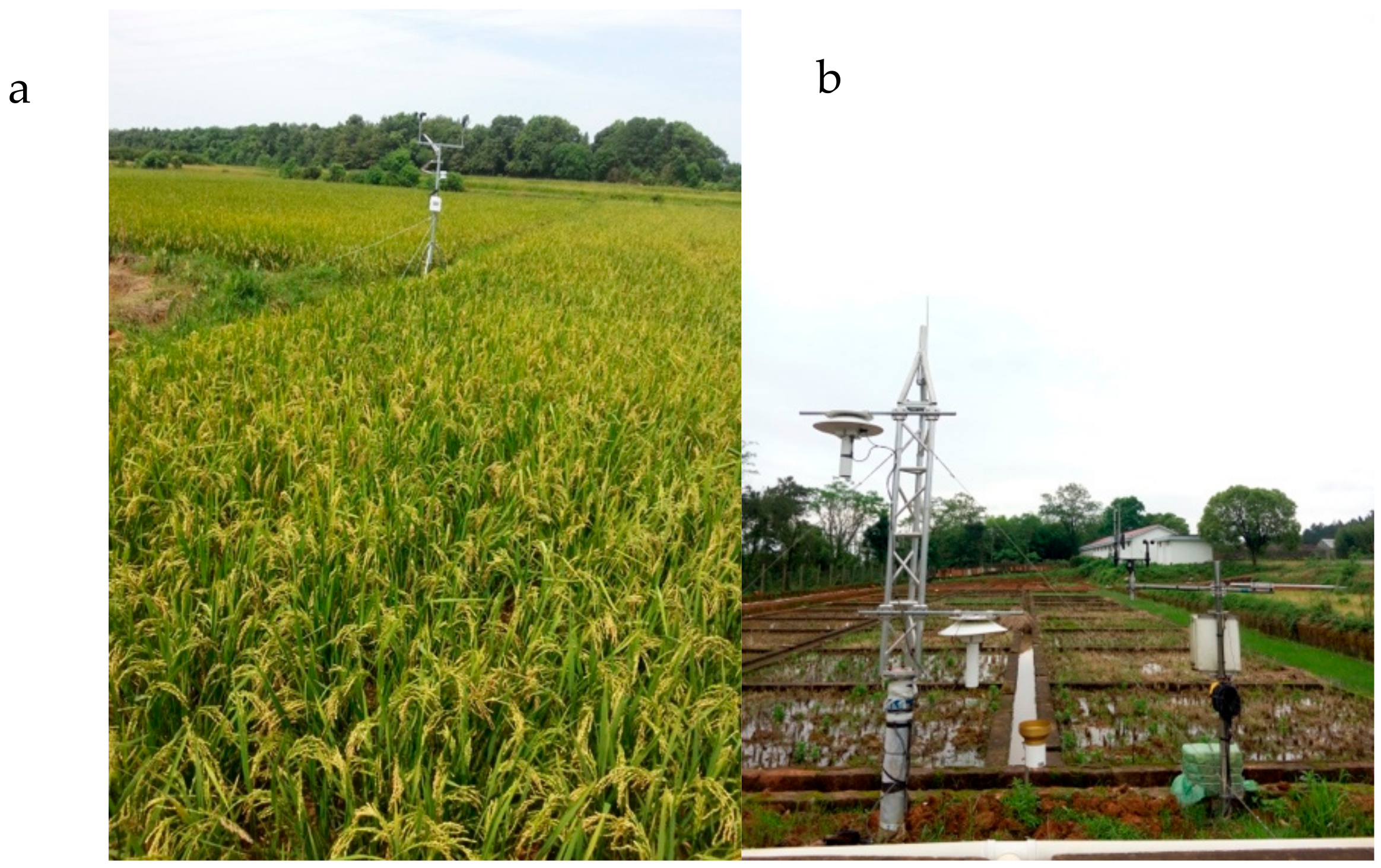 Water 11 01128 g002 Water 11 01128 g002