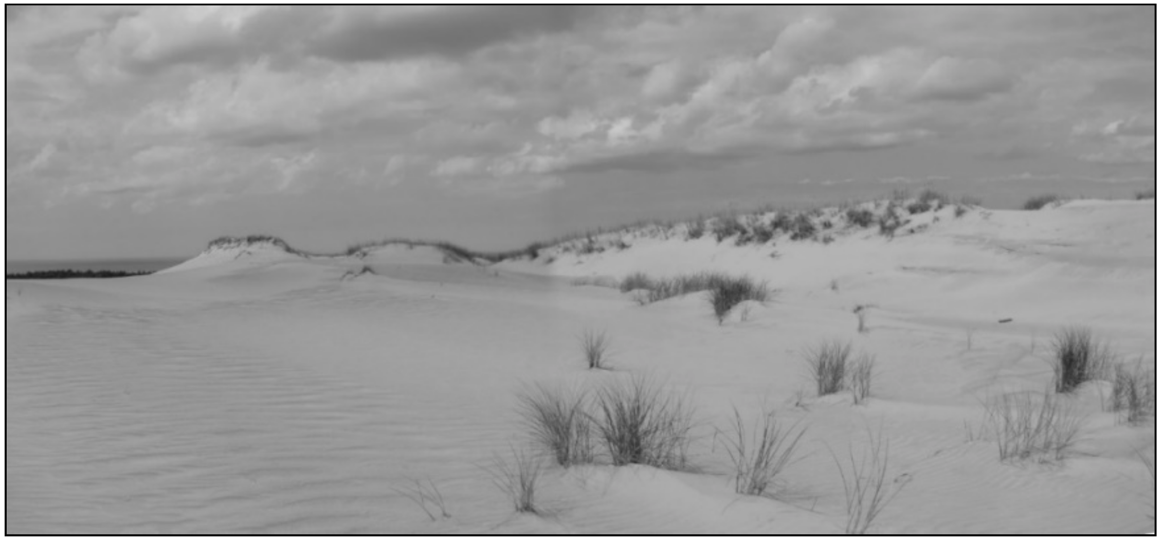 Water 11 01193 g005 Water 11 01193 g005