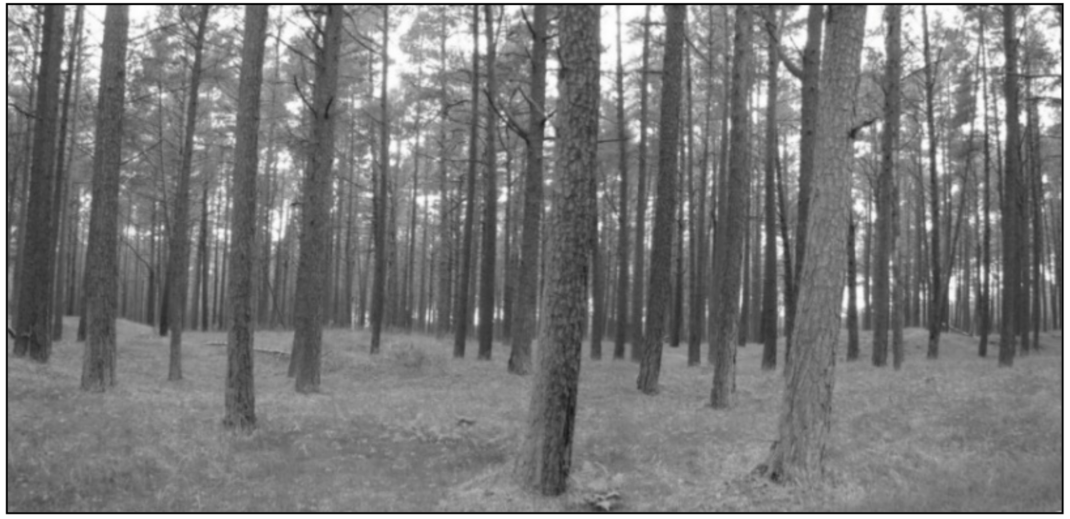 Water 11 01193 g009 Water 11 01193 g009